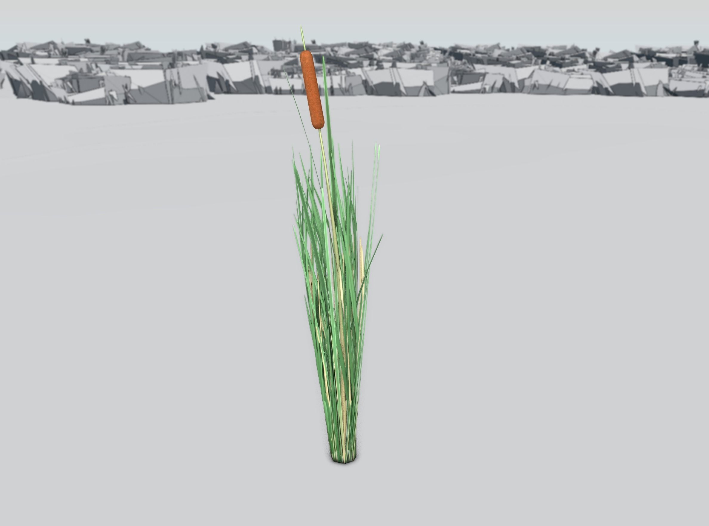 Reeds - Object 7 Low-poly 3D model_38
