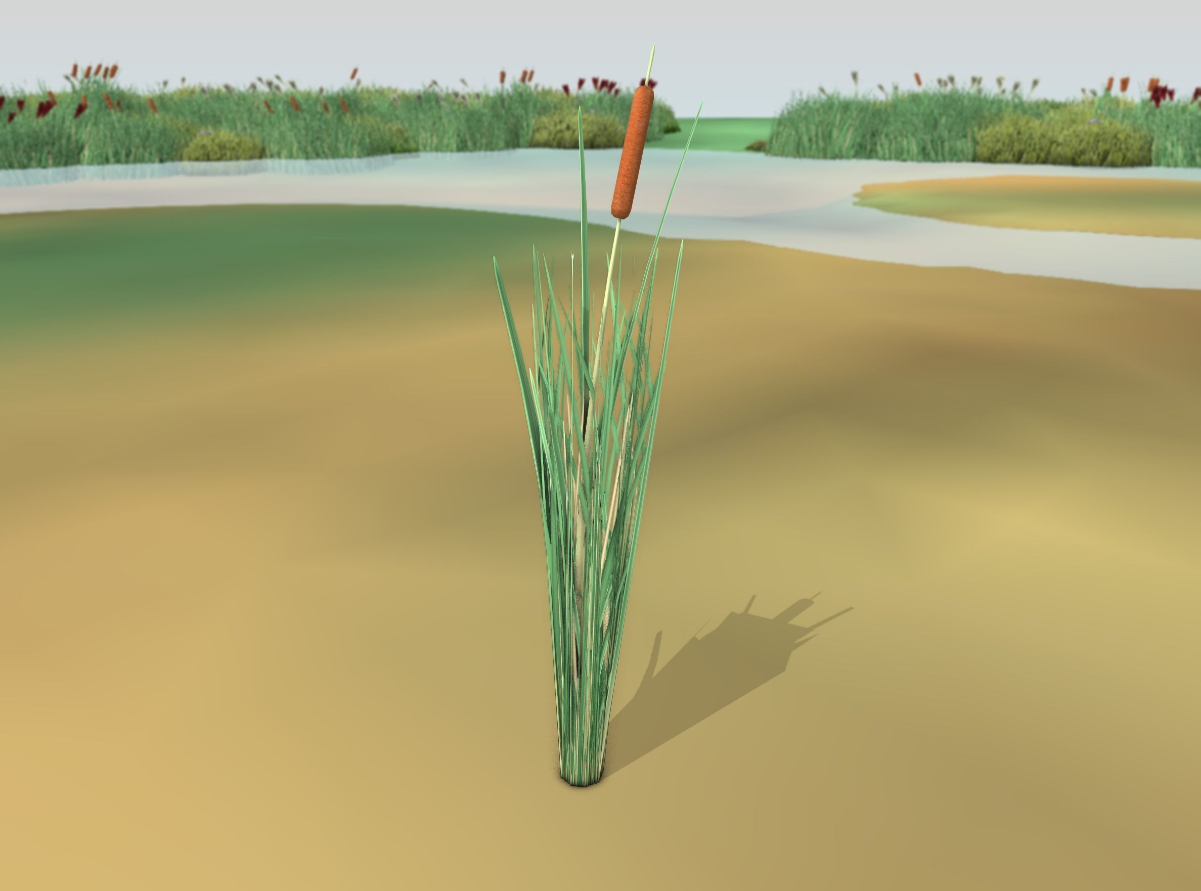 Reeds - Object 7 Low-poly 3D model_49