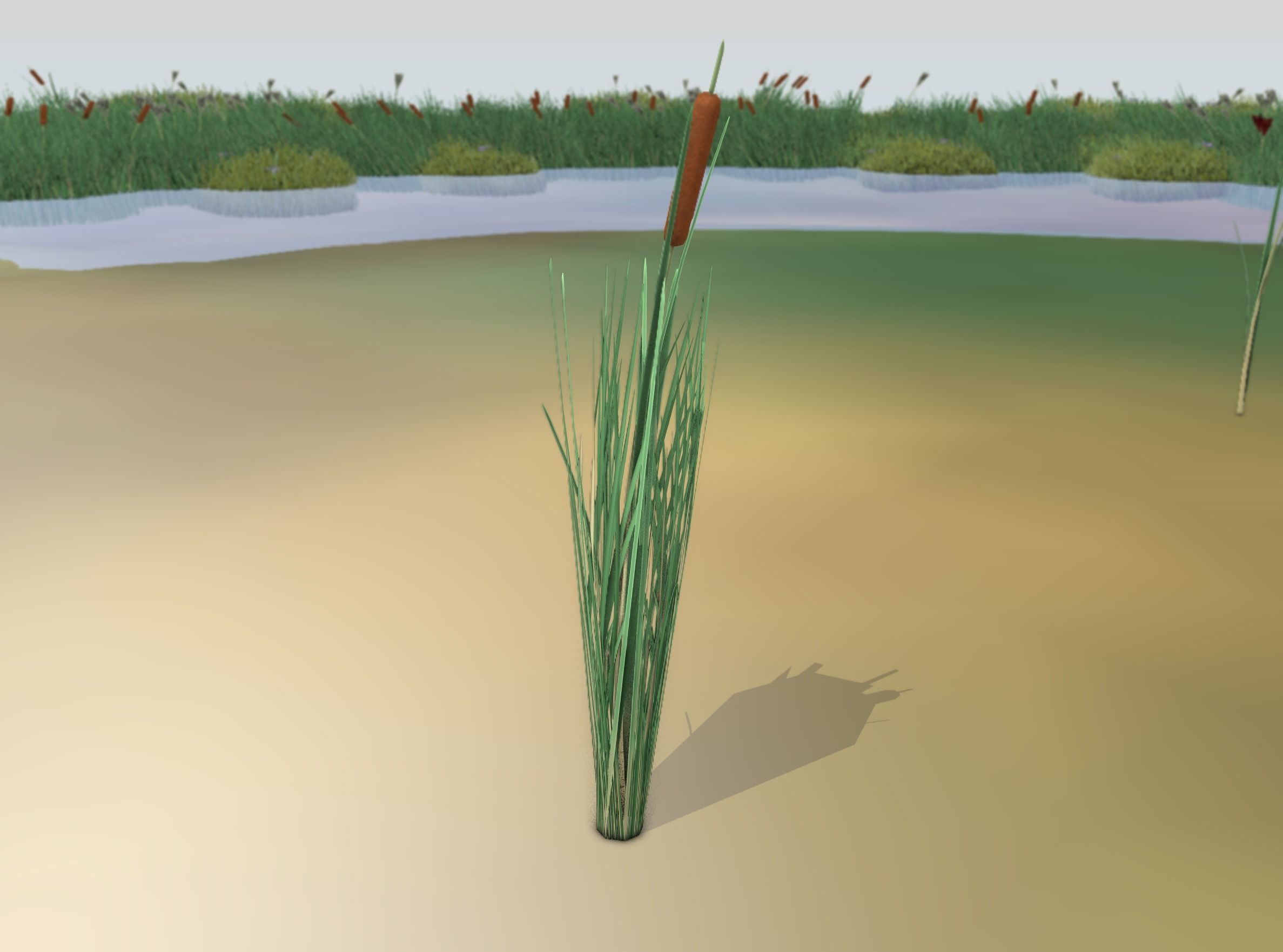 Reeds - Object 7 Low-poly 3D model_13