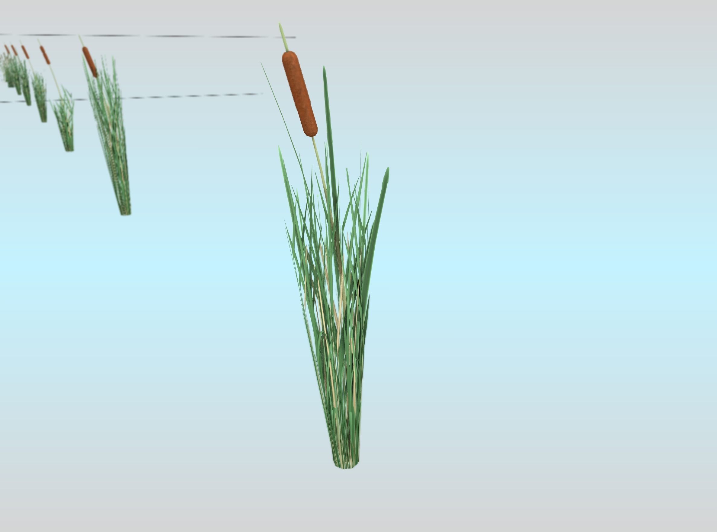 Reeds - Object 7 Low-poly 3D model_27