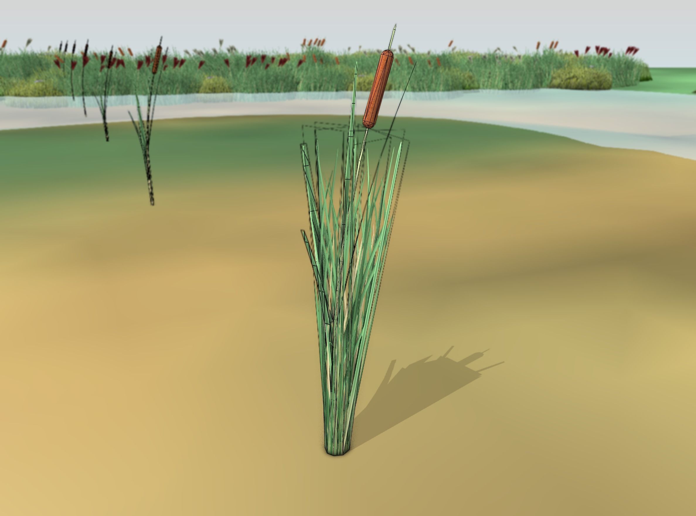 Reeds - Object 7 Low-poly 3D model_4