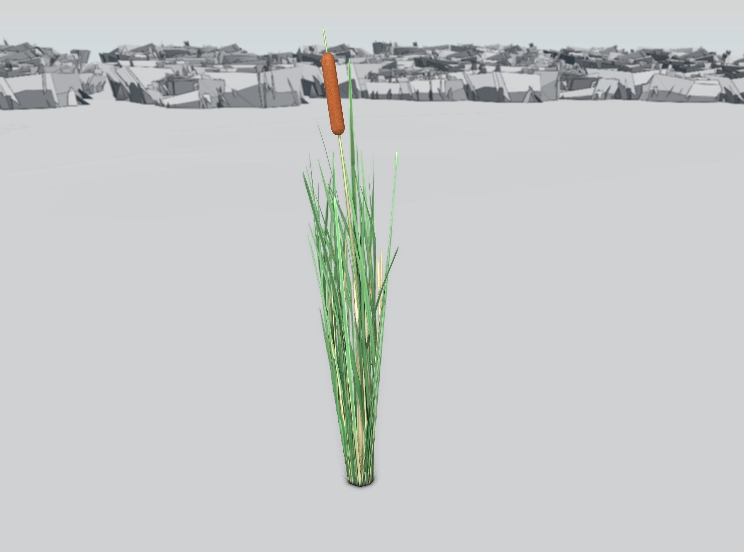 Reeds - Object 7 Low-poly 3D model_39
