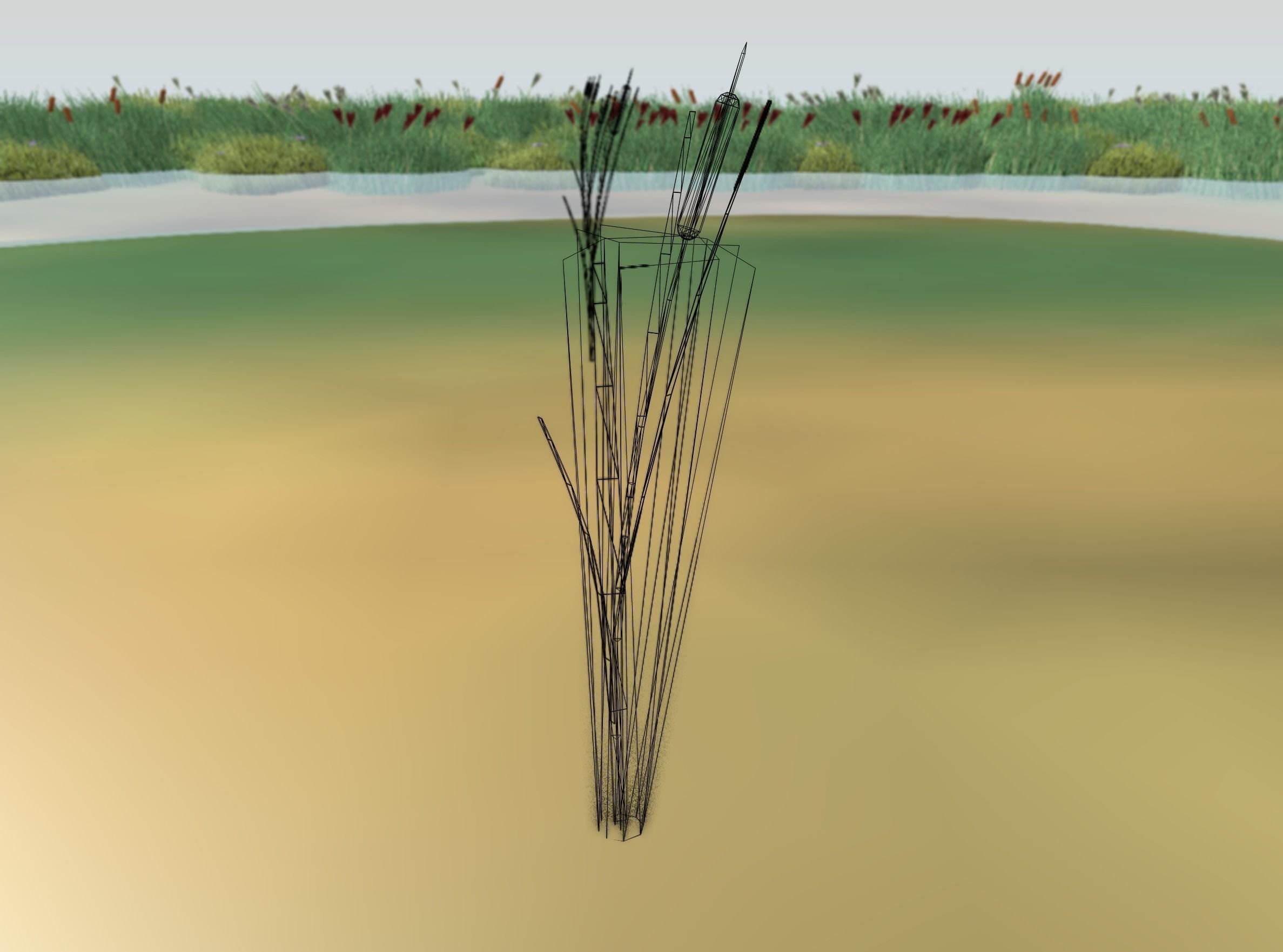 Reeds - Object 7 Low-poly 3D model_7