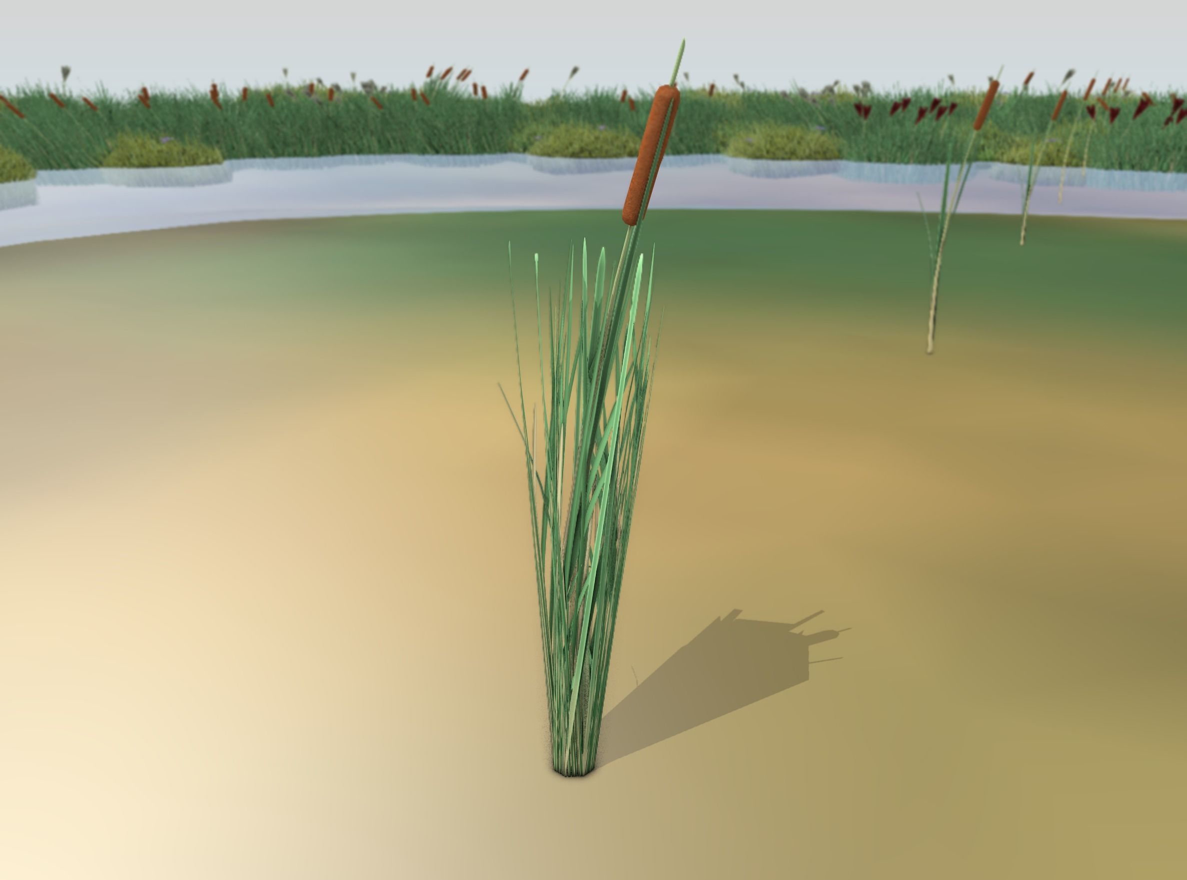 Reeds - Object 7 Low-poly 3D model_11
