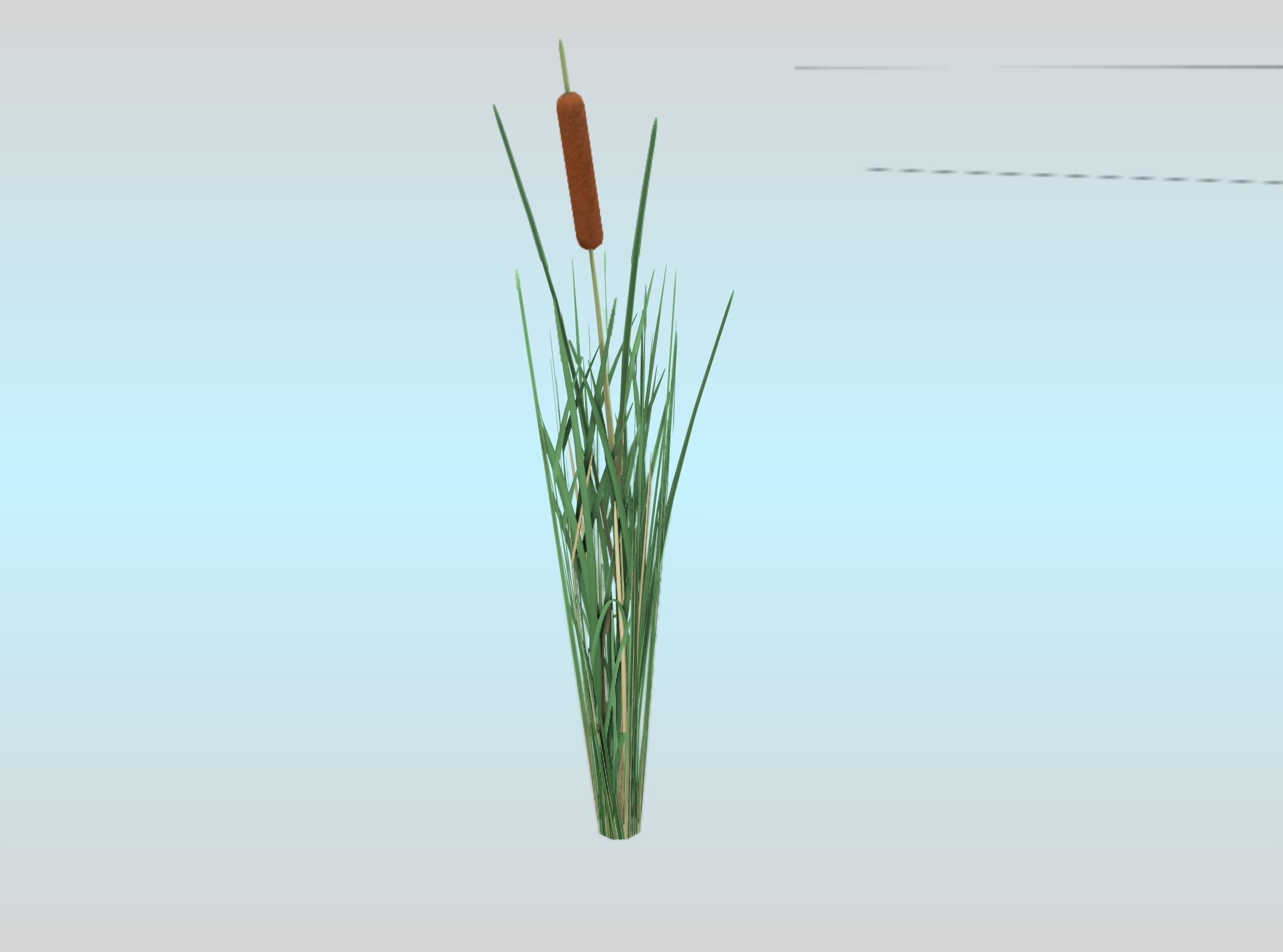 Reeds - Object 7 Low-poly 3D model_22