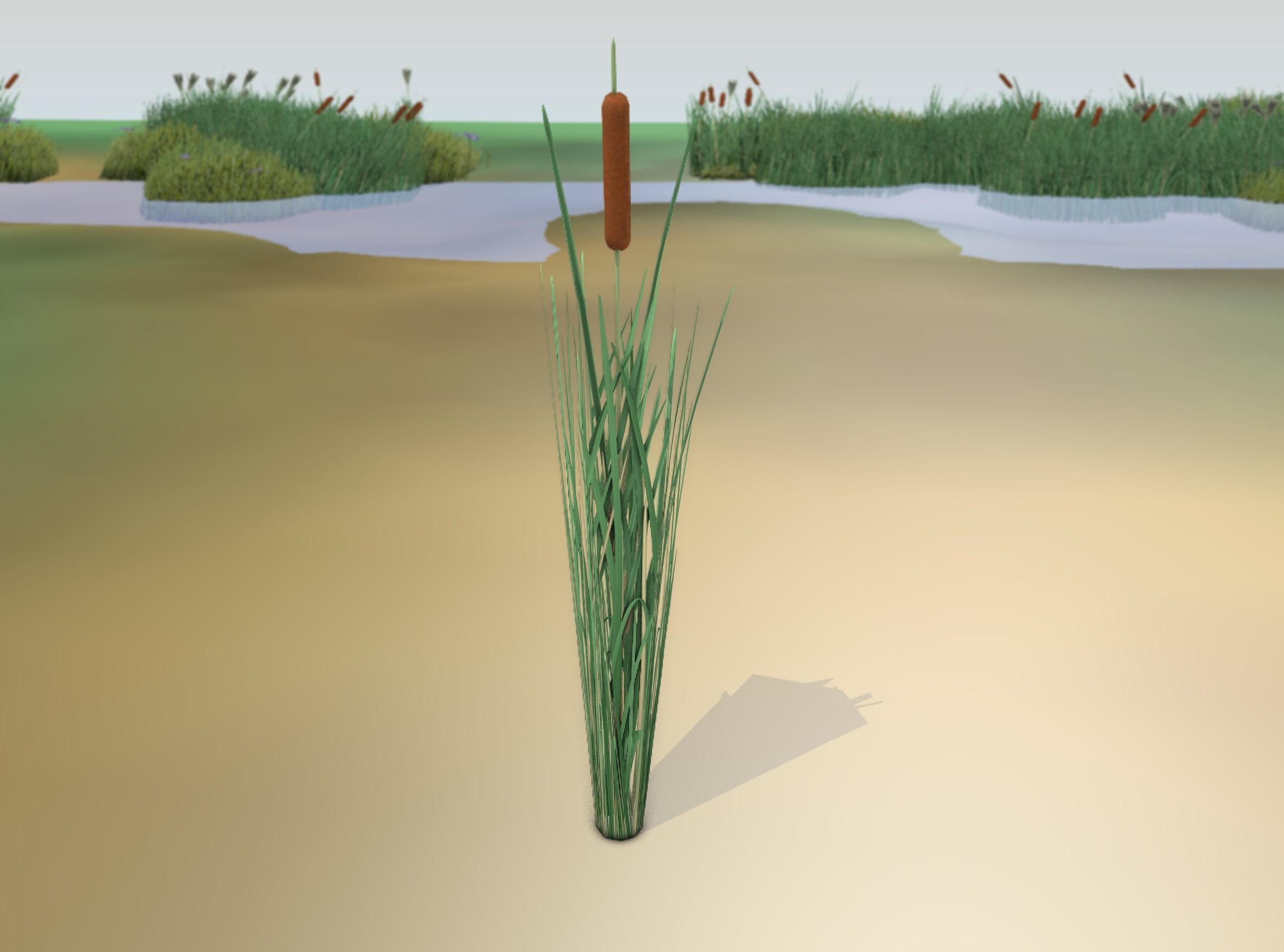 Reeds - Object 7 Low-poly 3D model_20