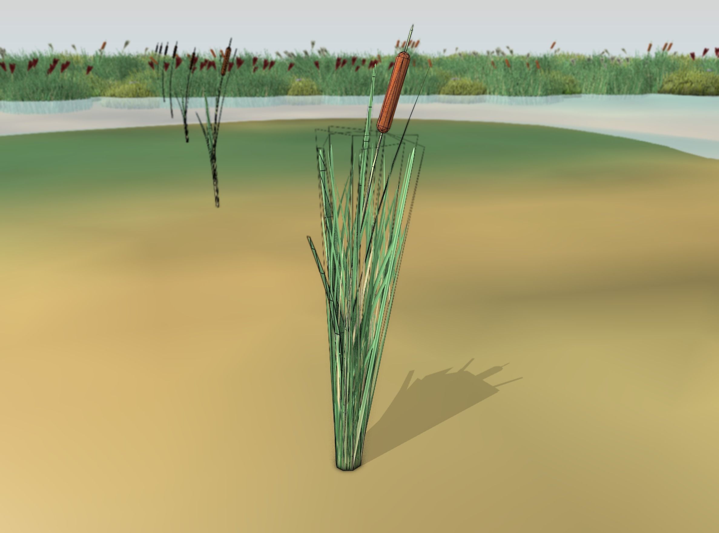 Reeds - Object 7 Low-poly 3D model_5