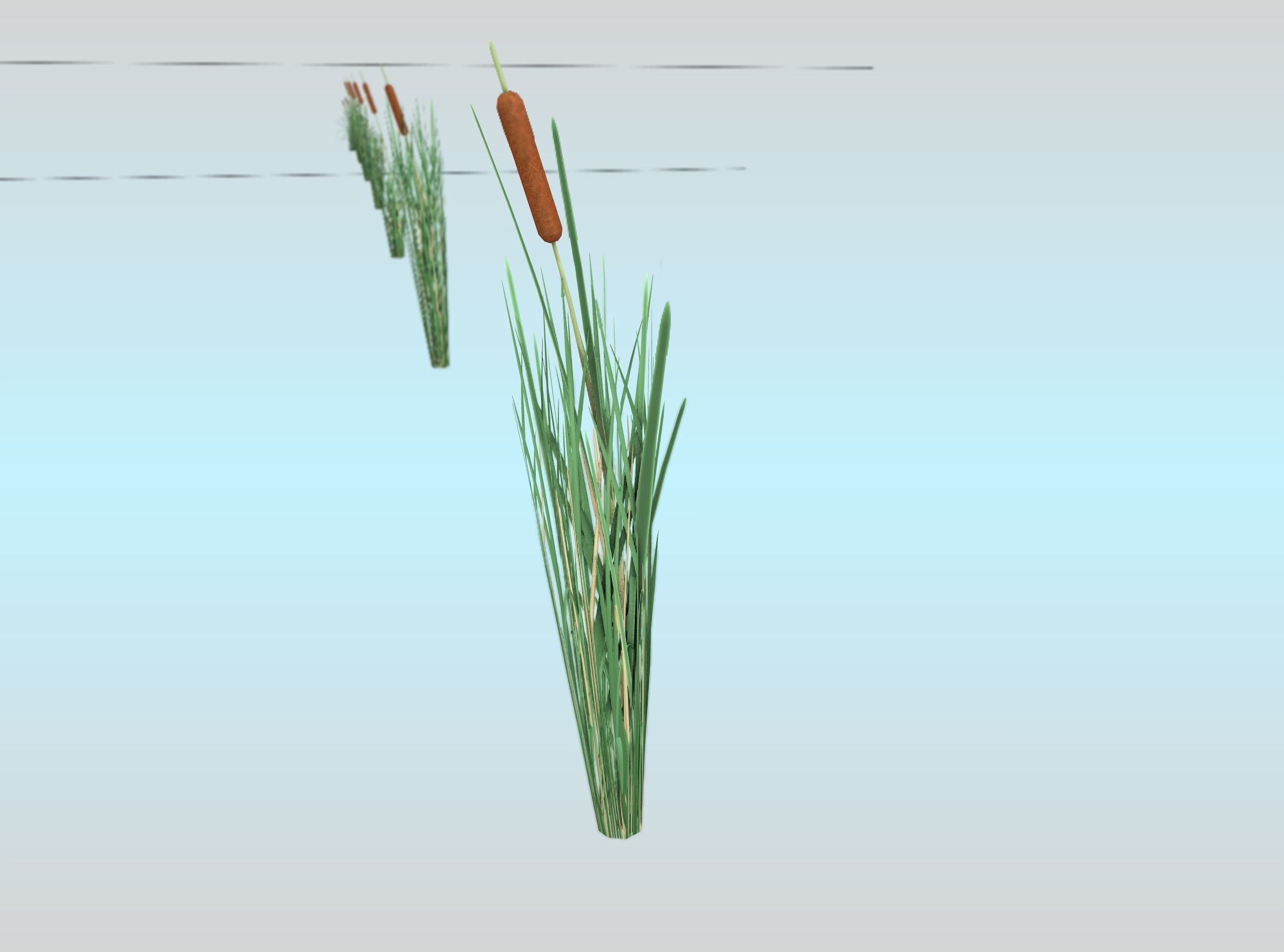 Reeds - Object 7 Low-poly 3D model_29