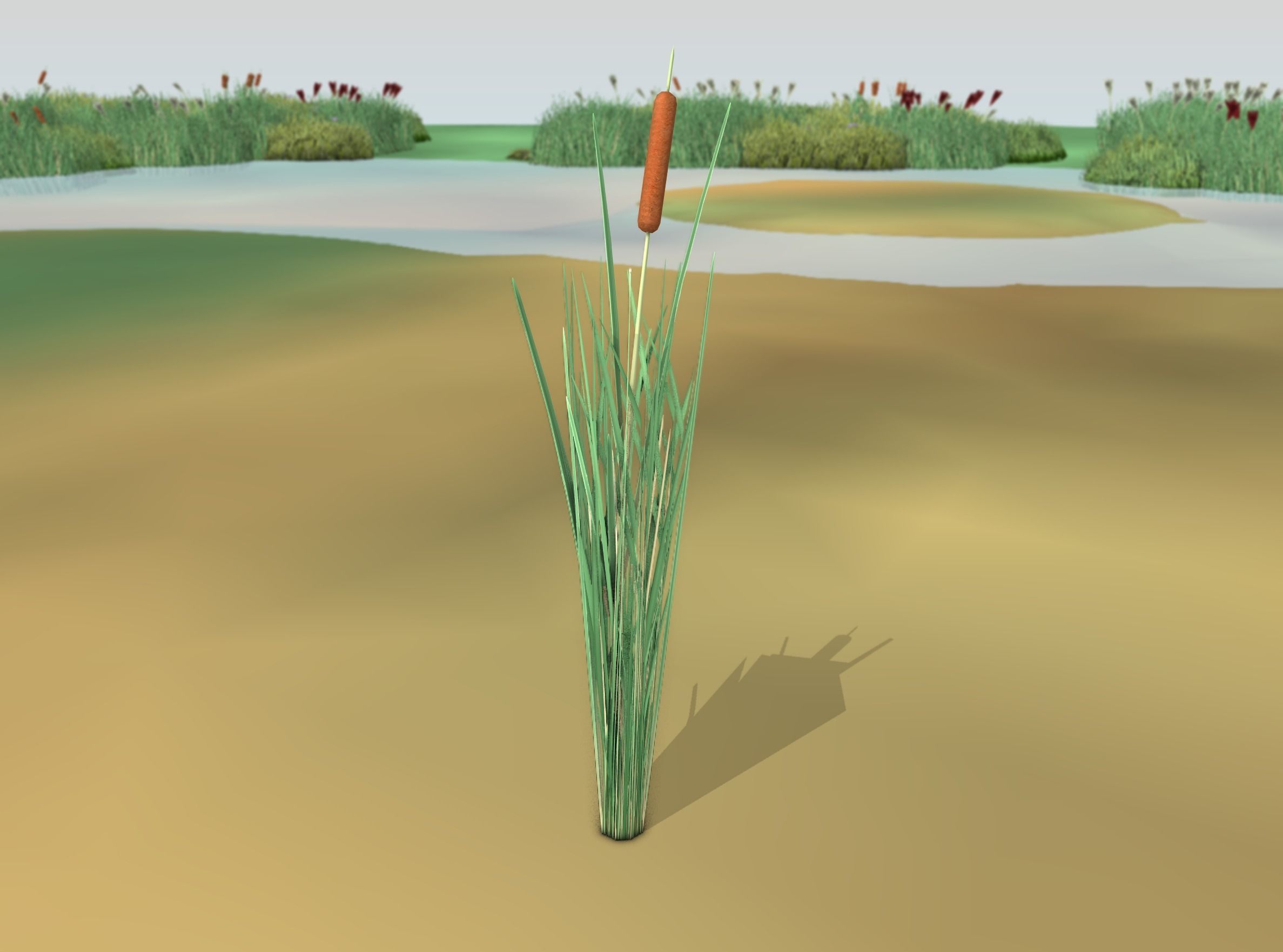 Reeds - Object 7 Low-poly 3D model_47