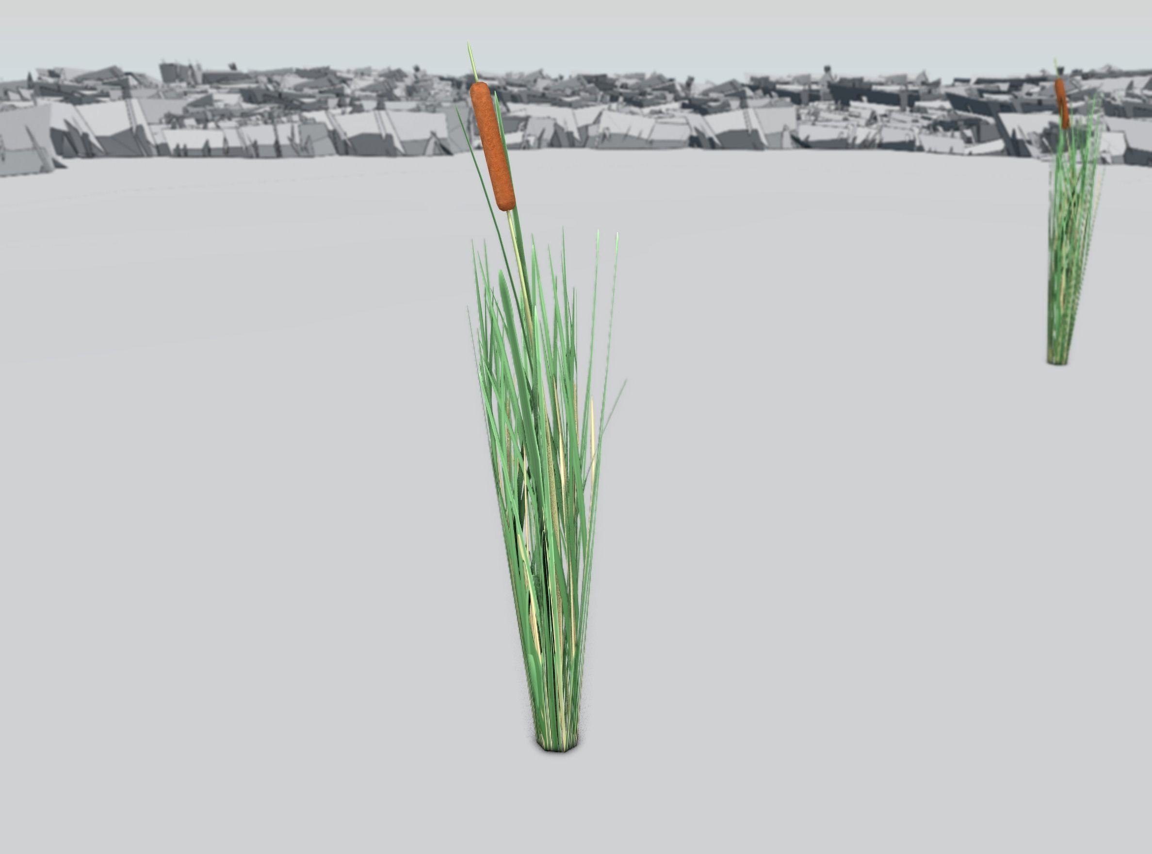 Reeds - Object 7 Low-poly 3D model_36