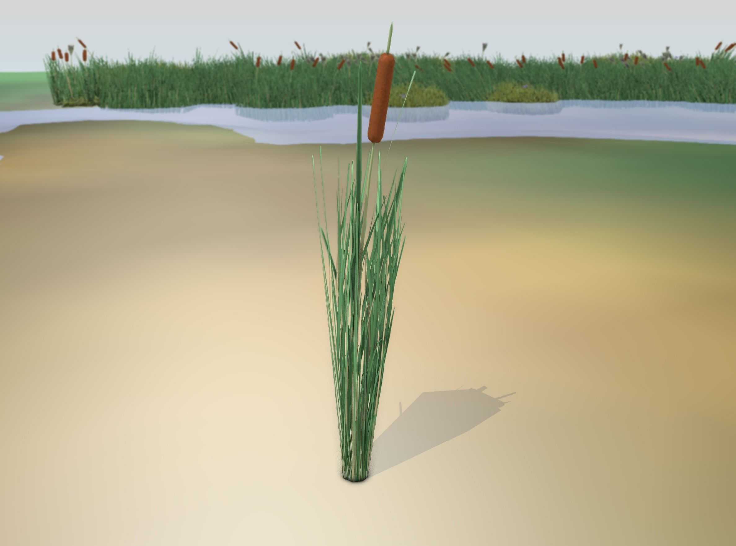 Reeds - Object 7 Low-poly 3D model_16