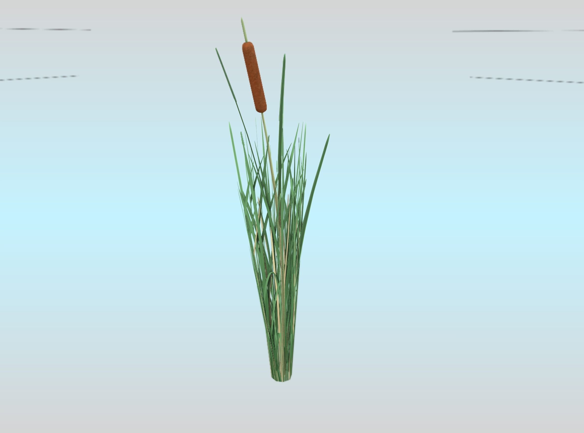 Reeds - Object 7 Low-poly 3D model_24