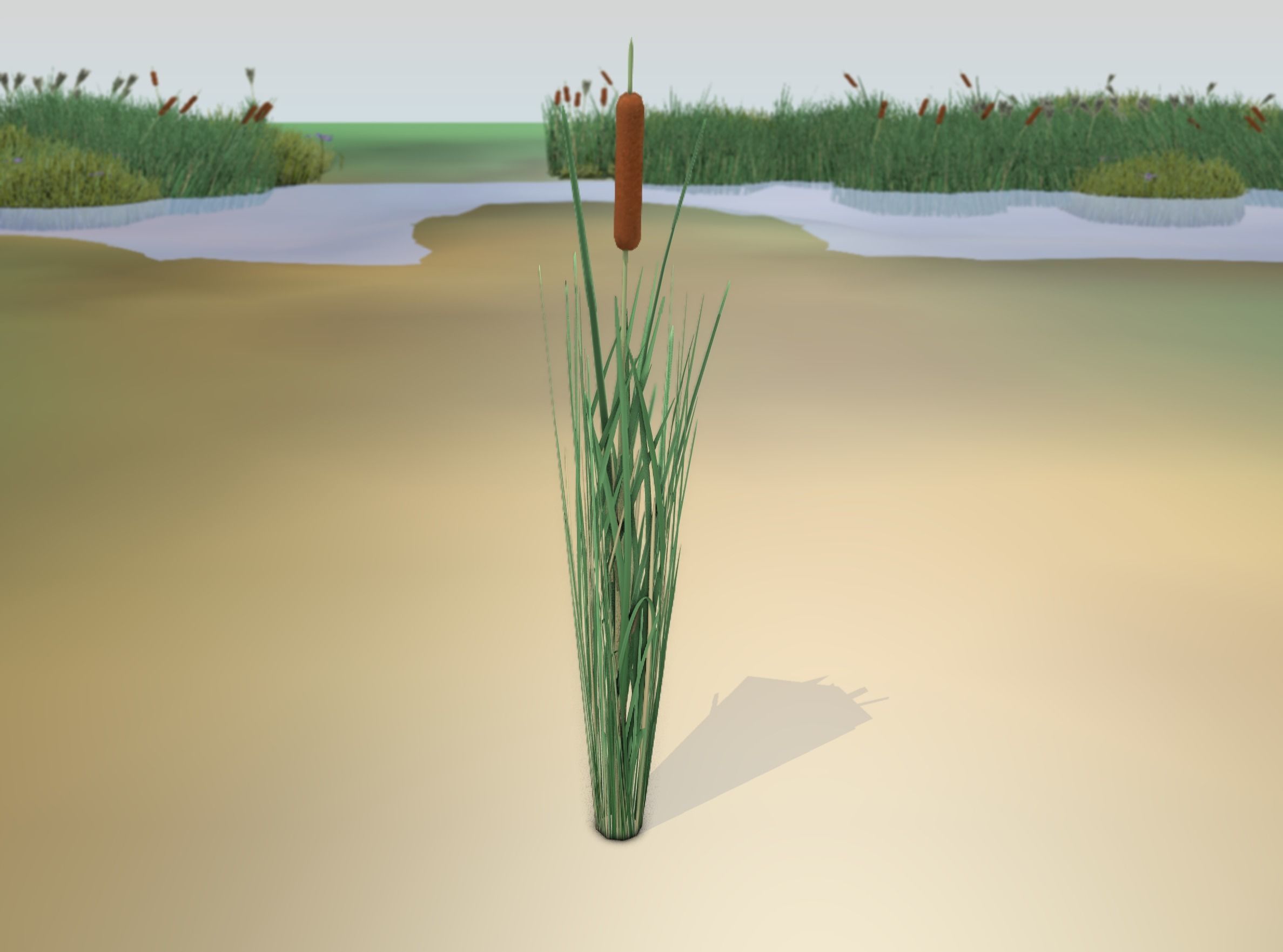 Reeds - Object 7 Low-poly 3D model_19