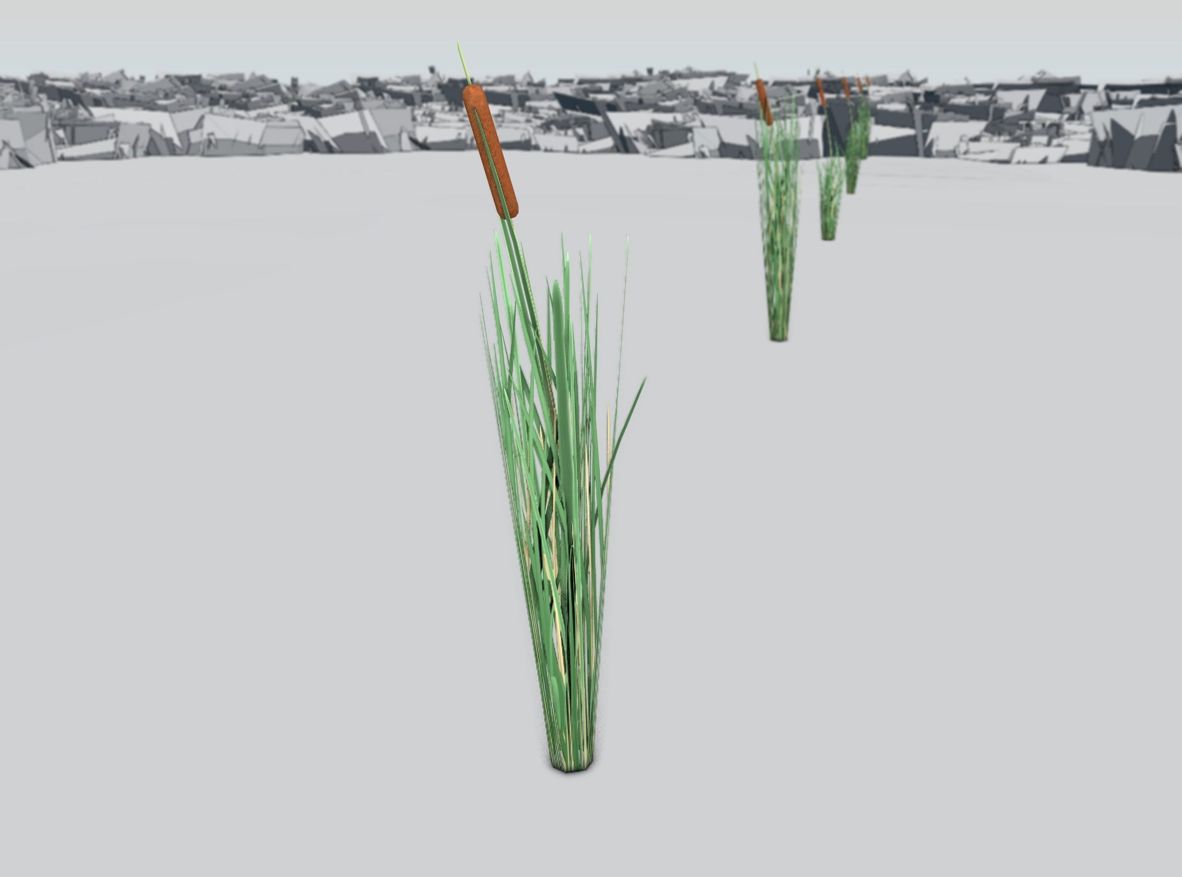 Reeds - Object 7 Low-poly 3D model_33