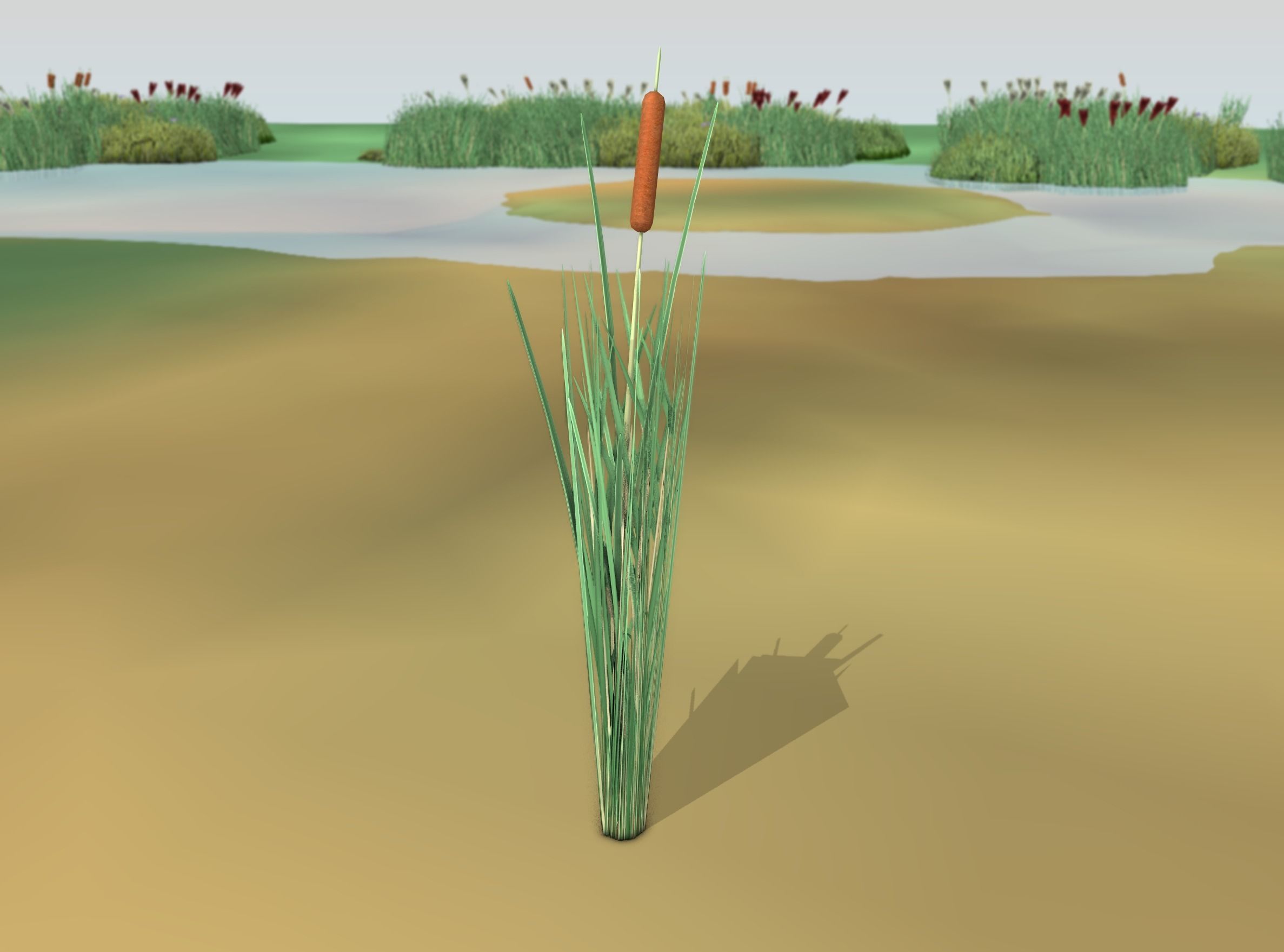Reeds - Object 7 Low-poly 3D model_46