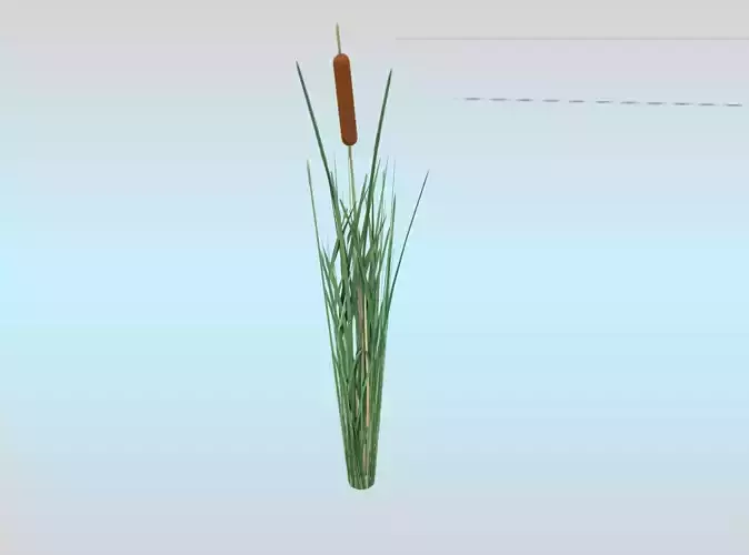 Reeds - Object 7 Low-poly 3D model