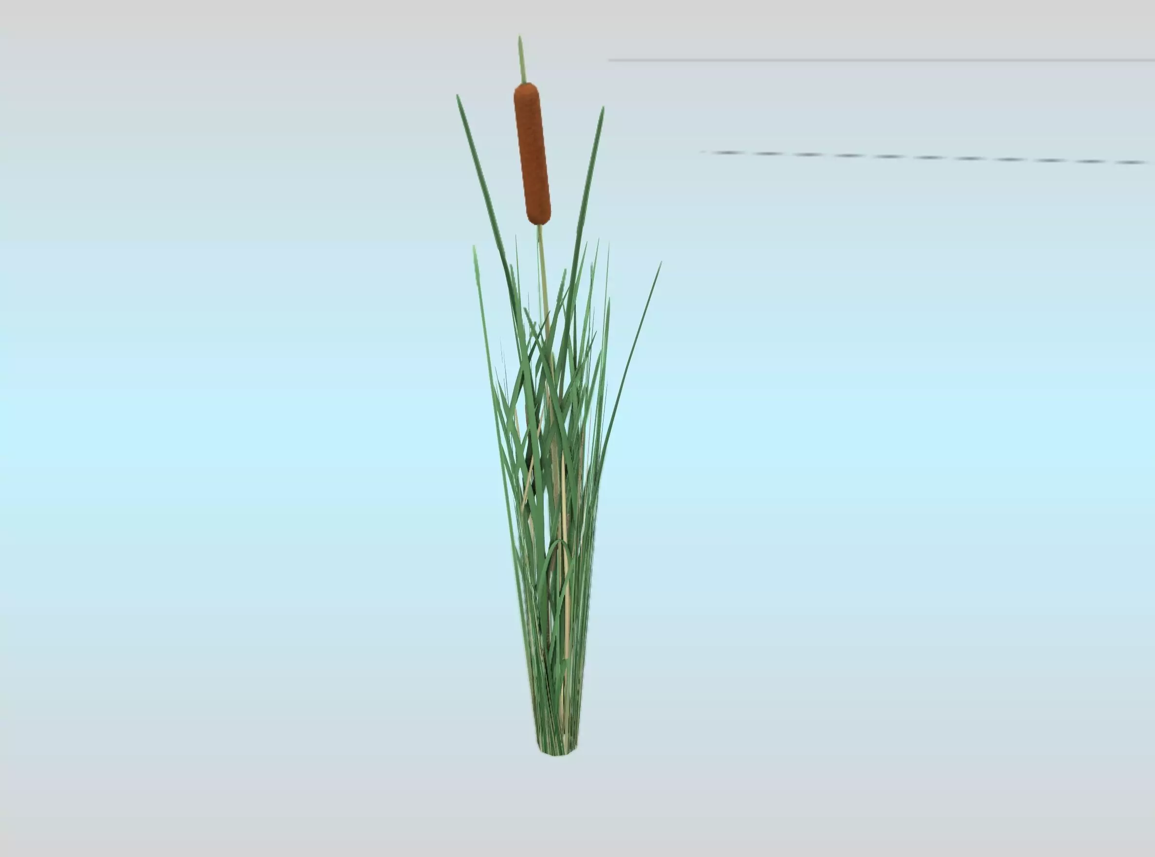 Reeds - Object 7 Low-poly 3D model_0