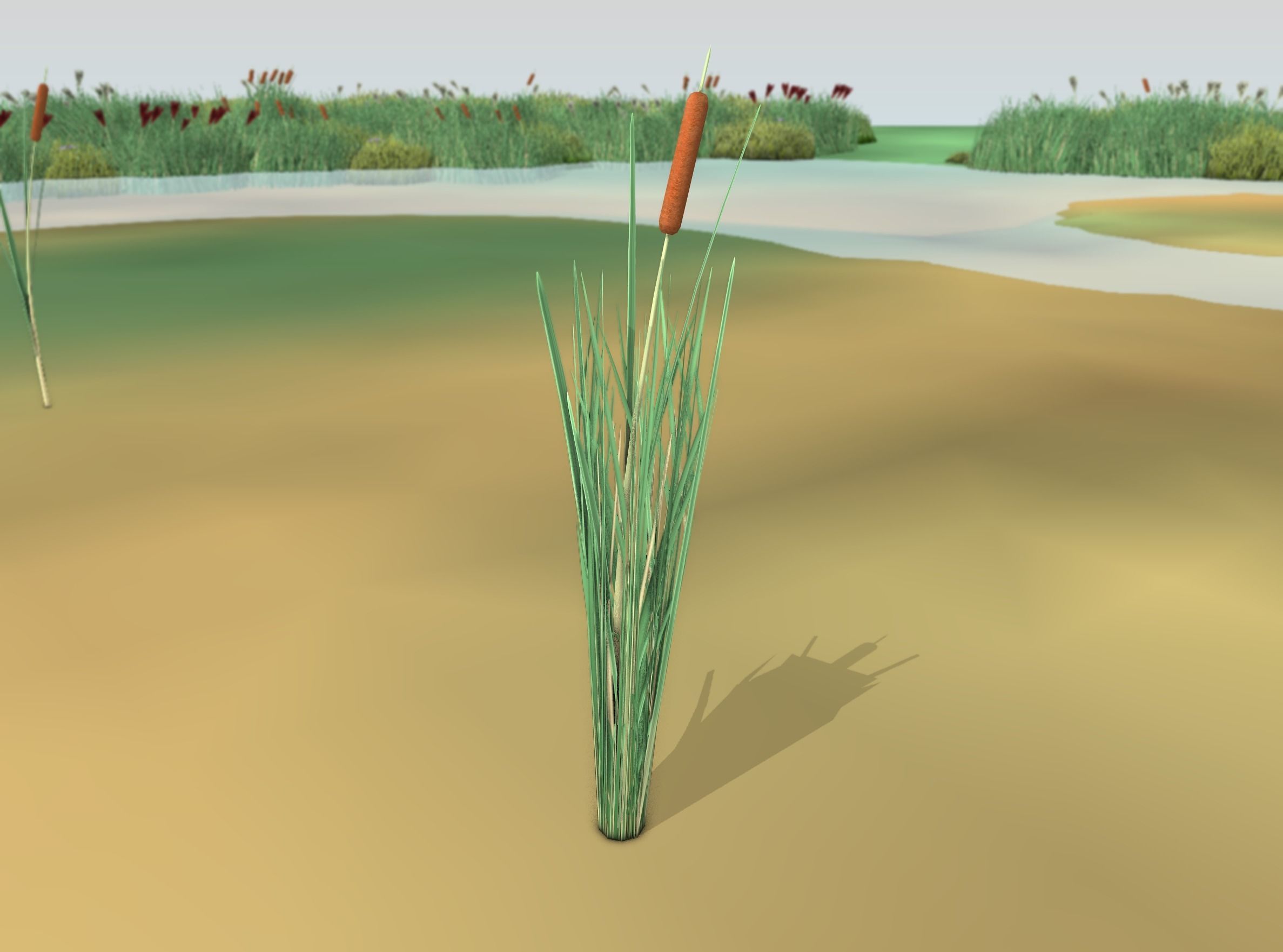 Reeds - Object 7 Low-poly 3D model_50