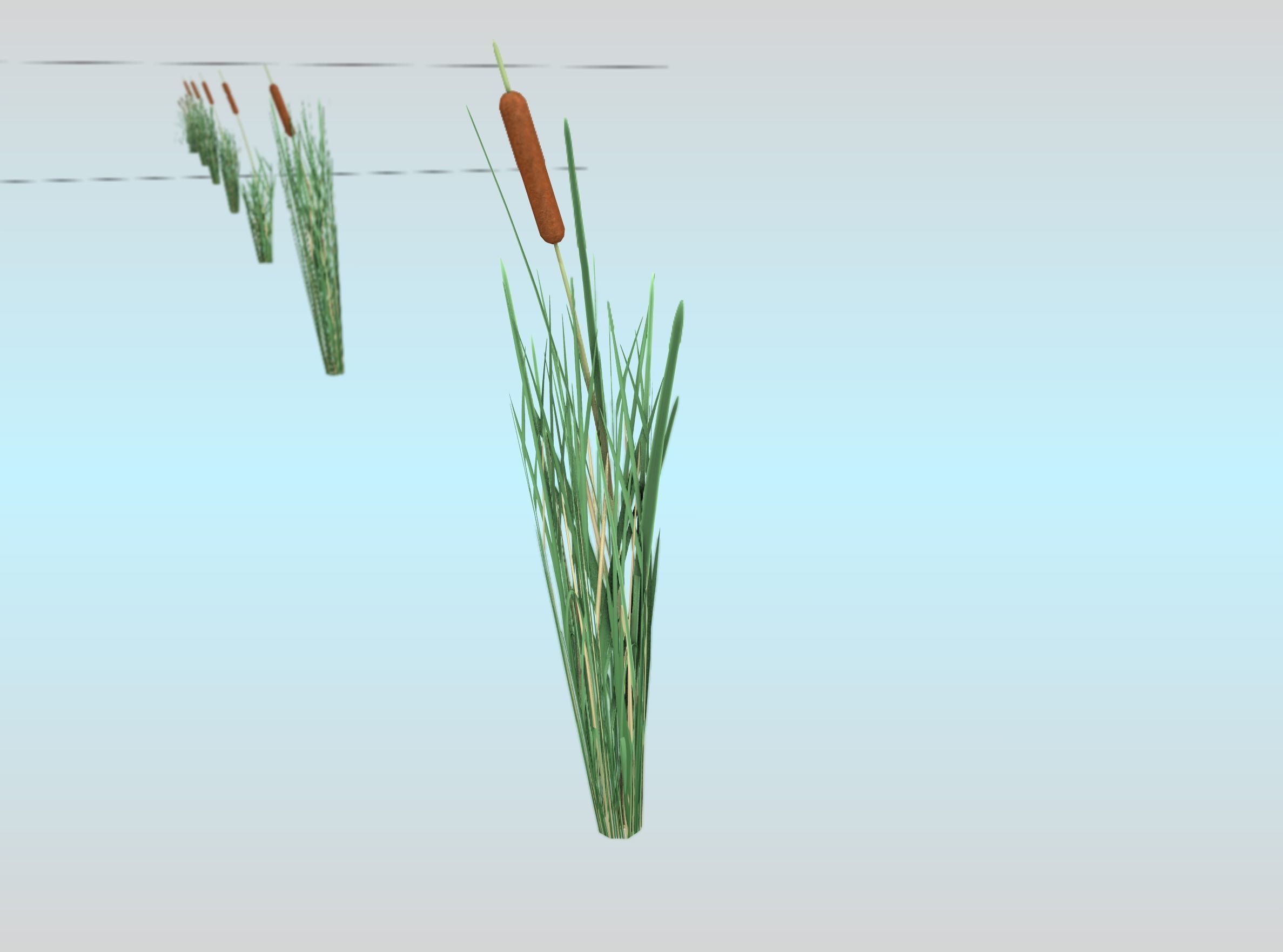 Reeds - Object 7 Low-poly 3D model_28