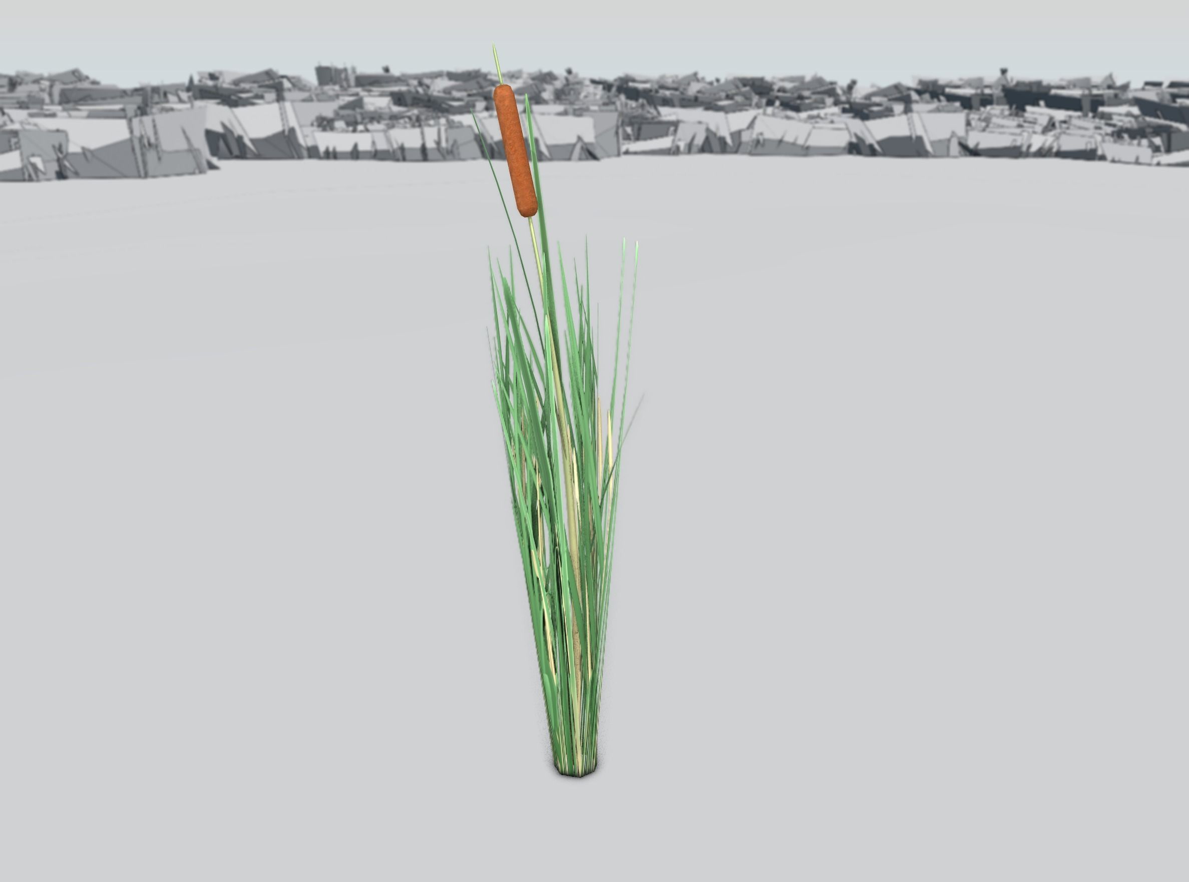 Reeds - Object 7 Low-poly 3D model_37