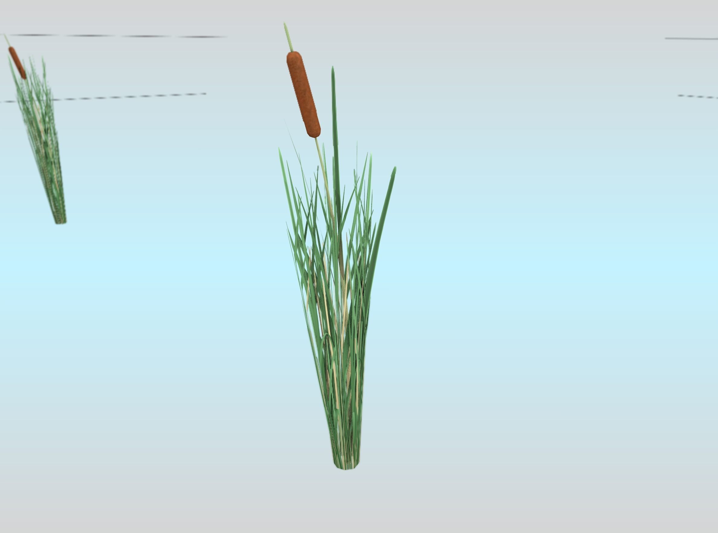 Reeds - Object 7 Low-poly 3D model_26