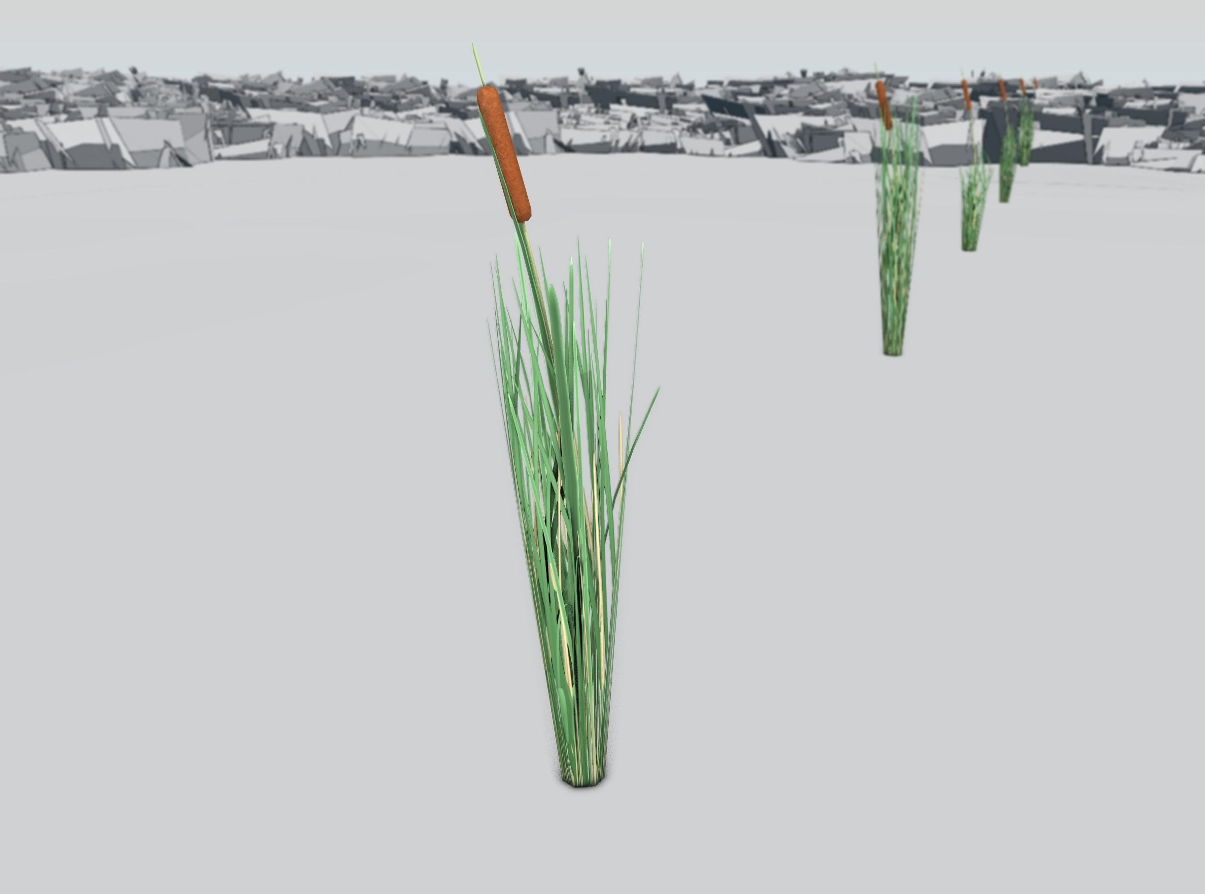 Reeds - Object 7 Low-poly 3D model_34