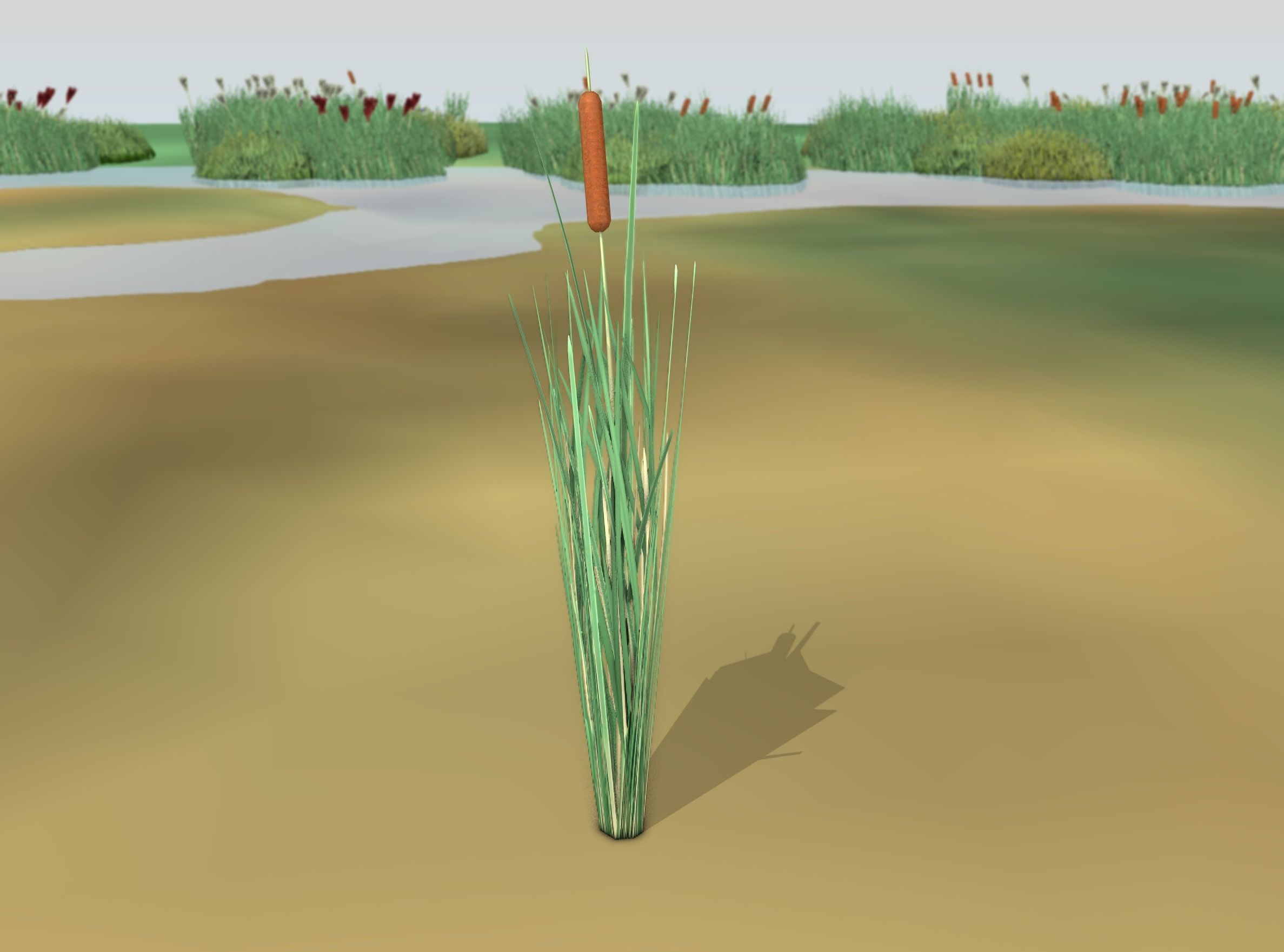 Reeds - Object 7 Low-poly 3D model_41