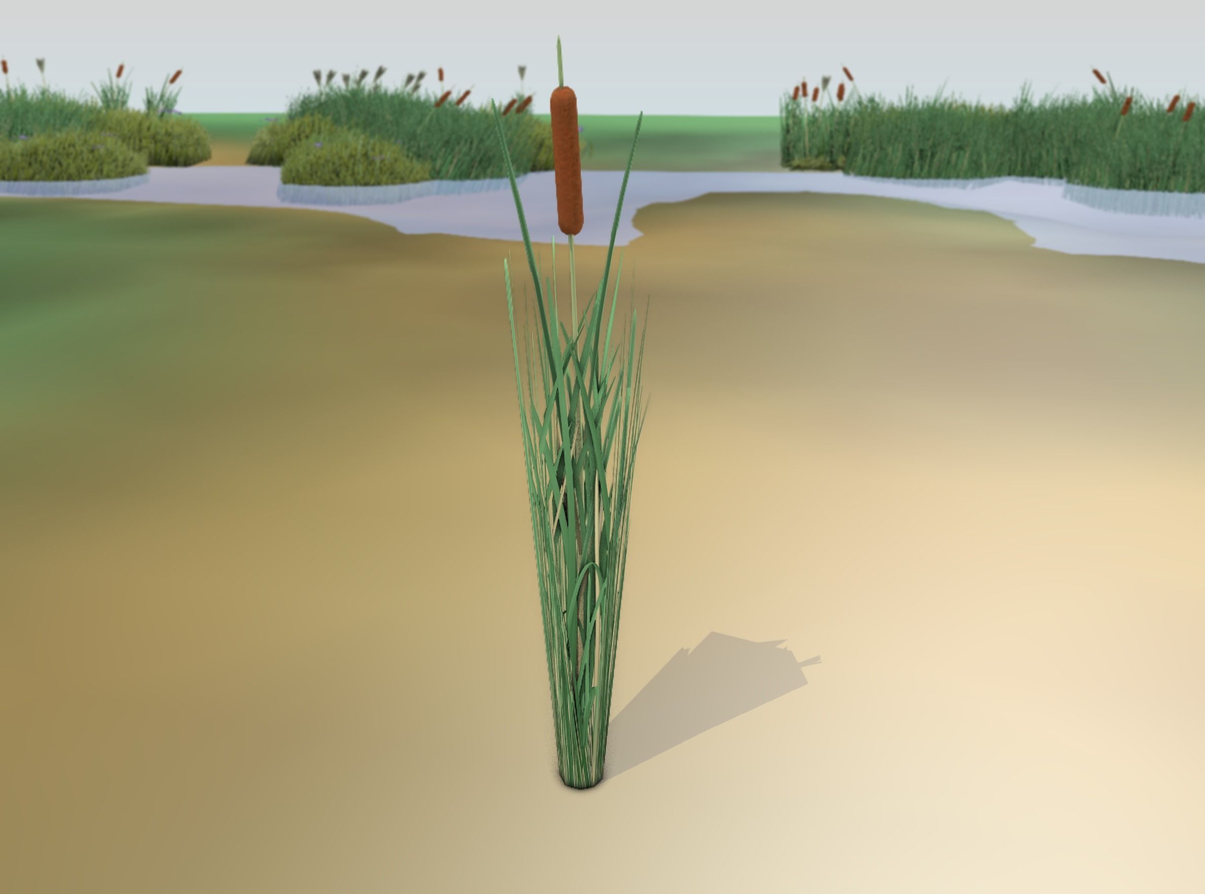 Reeds - Object 7 Low-poly 3D model_21
