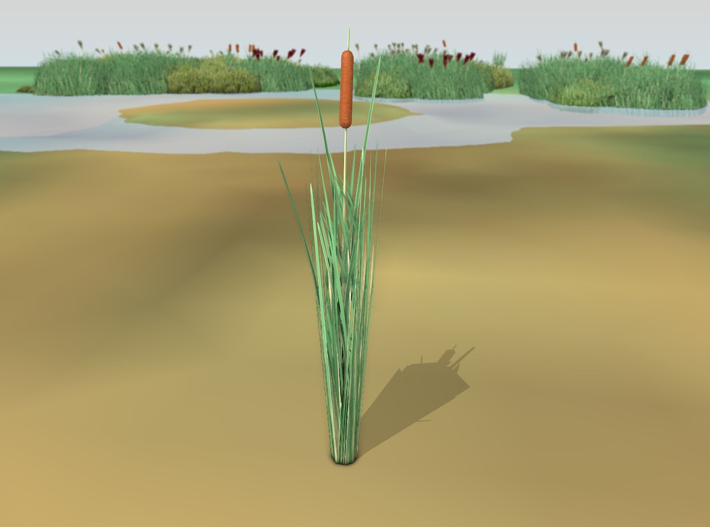 Reeds - Object 7 Low-poly 3D model_44