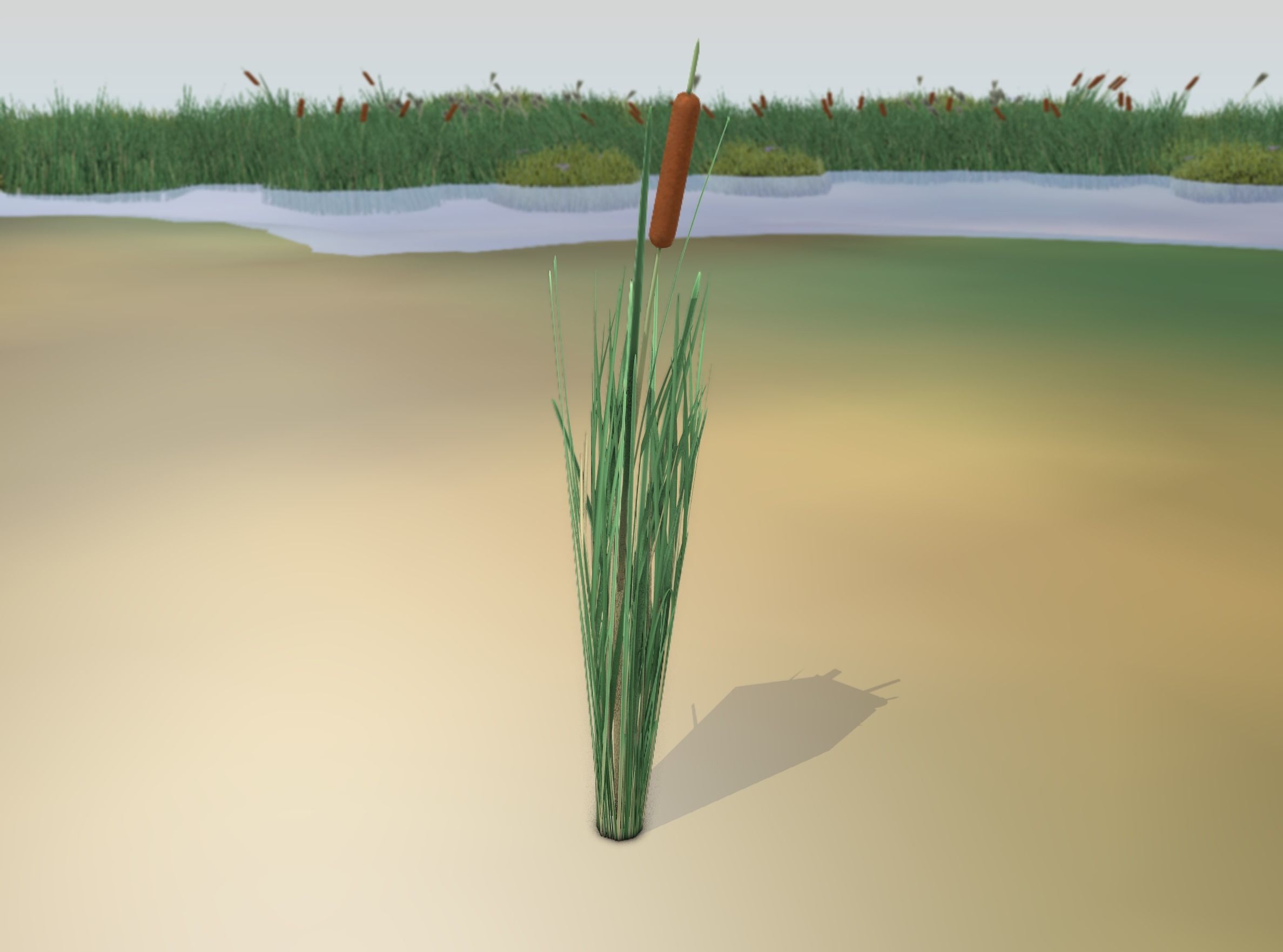 Reeds - Object 7 Low-poly 3D model_15
