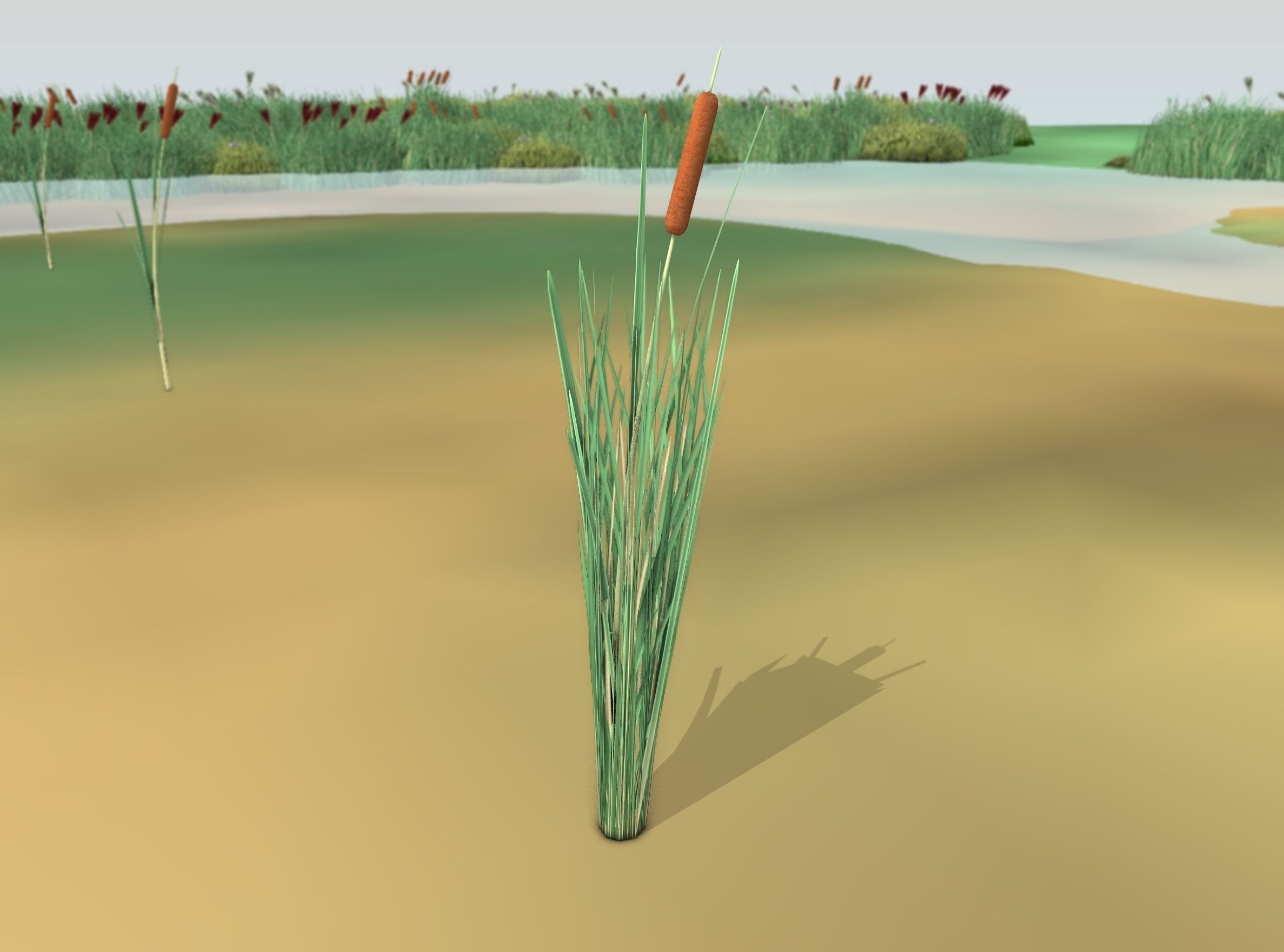 Reeds - Object 7 Low-poly 3D model_3