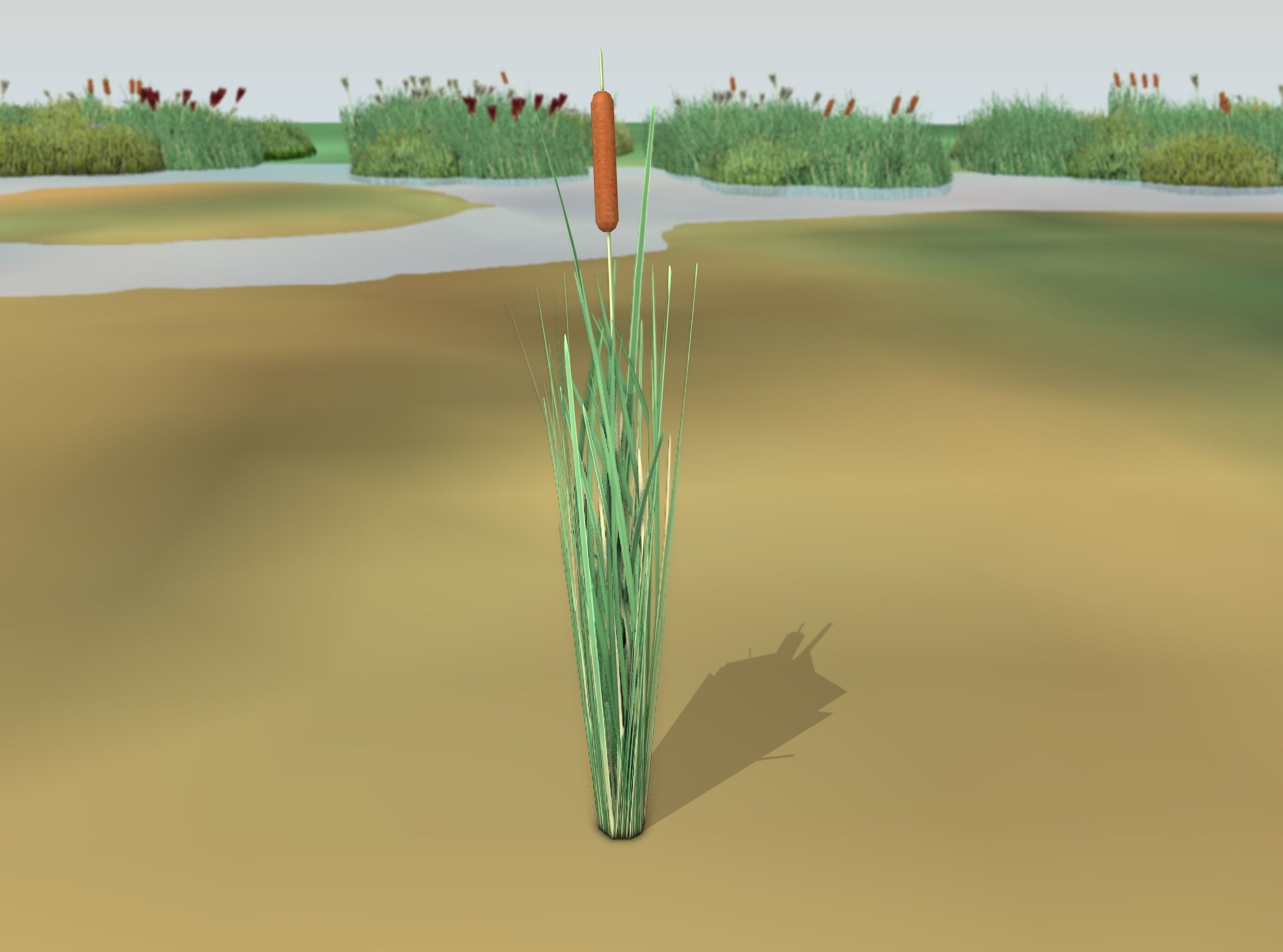Reeds - Object 7 Low-poly 3D model_42