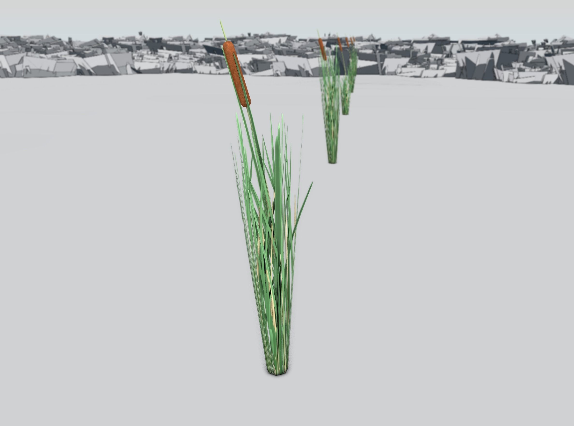 Reeds - Object 7 Low-poly 3D model_32