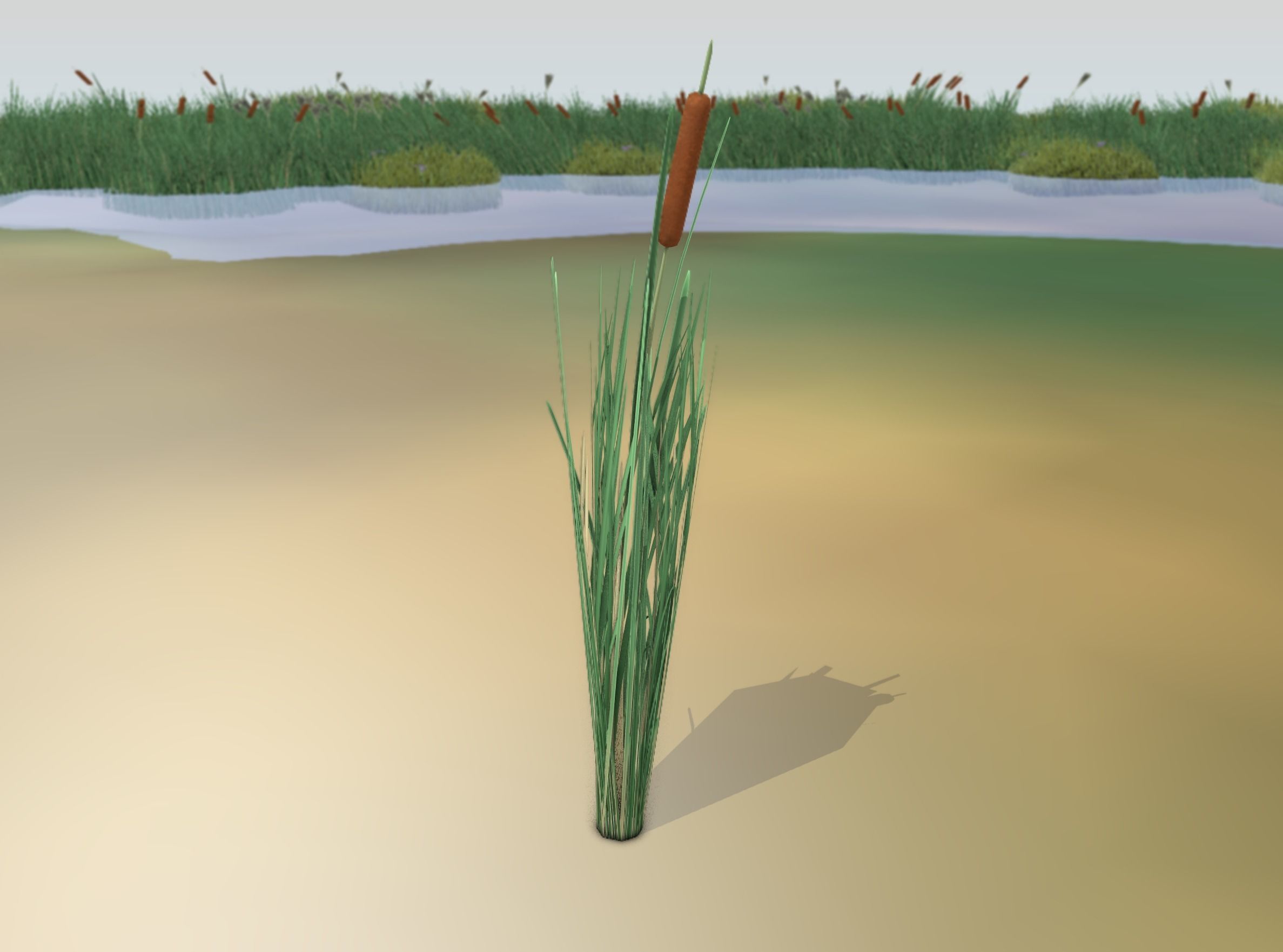 Reeds - Object 7 Low-poly 3D model_14