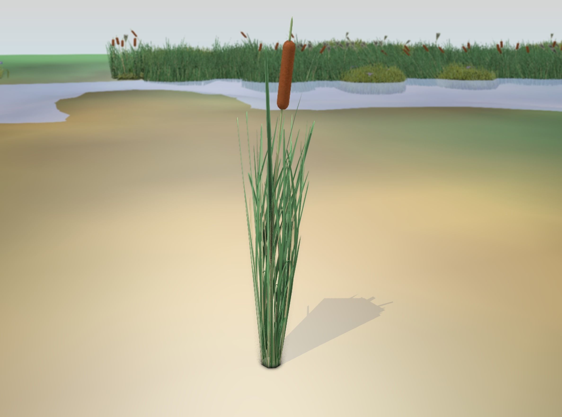 Reeds - Object 7 Low-poly 3D model_17