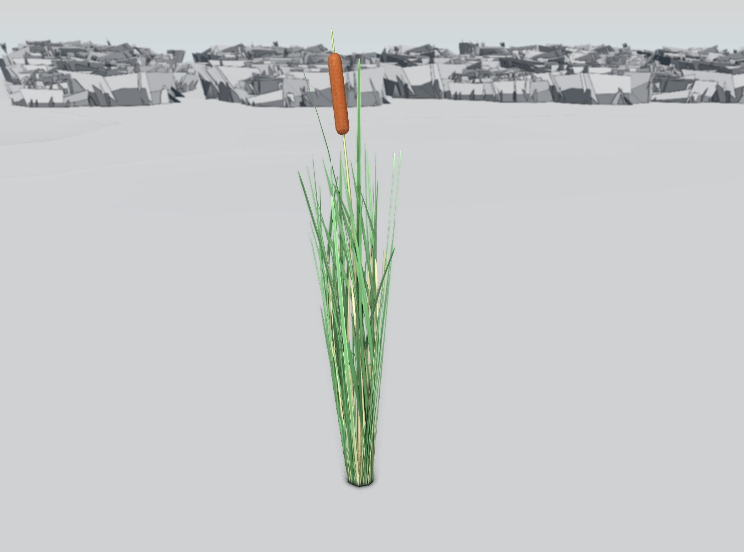 Reeds - Object 7 Low-poly 3D model_40