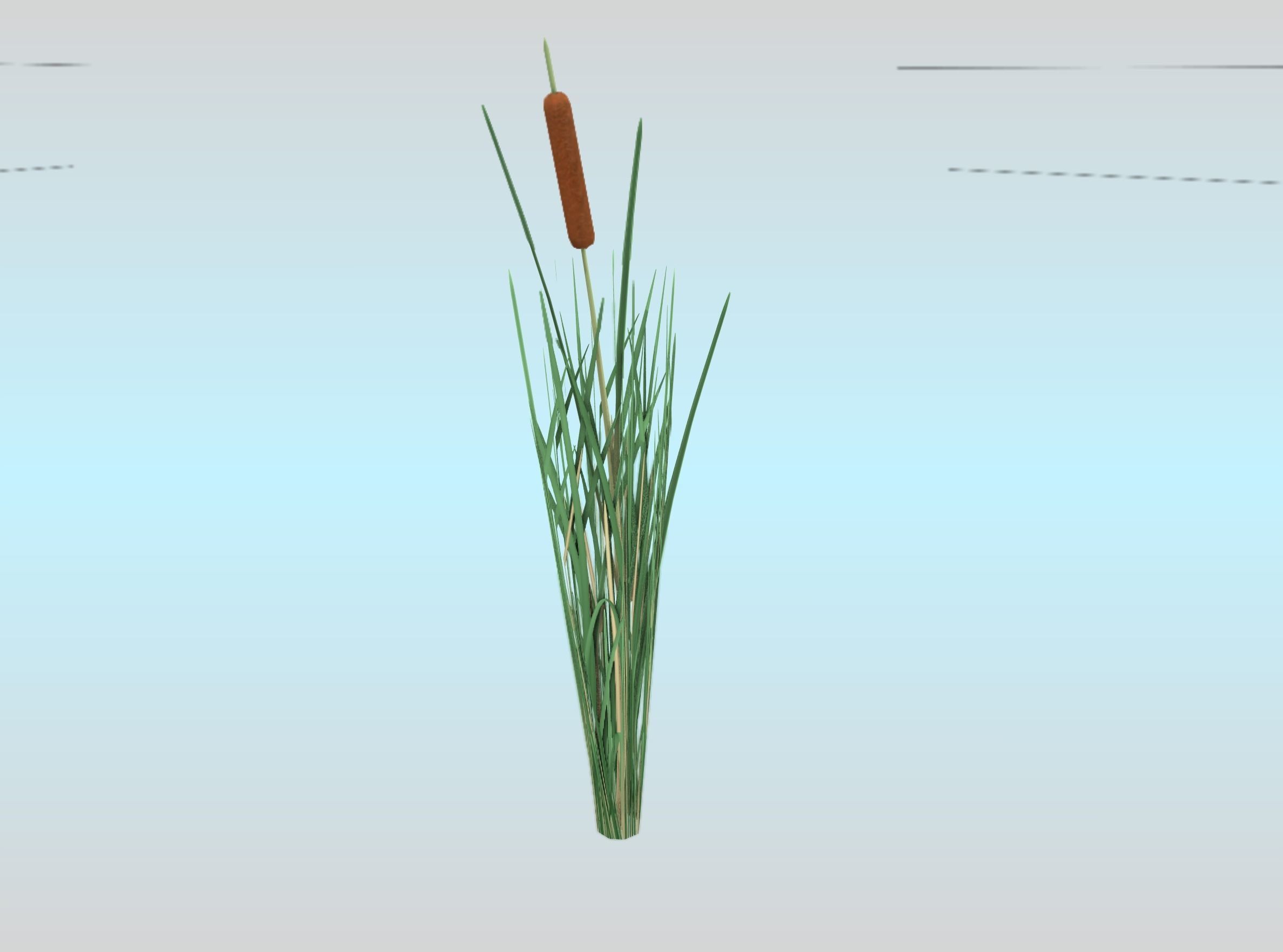 Reeds - Object 7 Low-poly 3D model_23