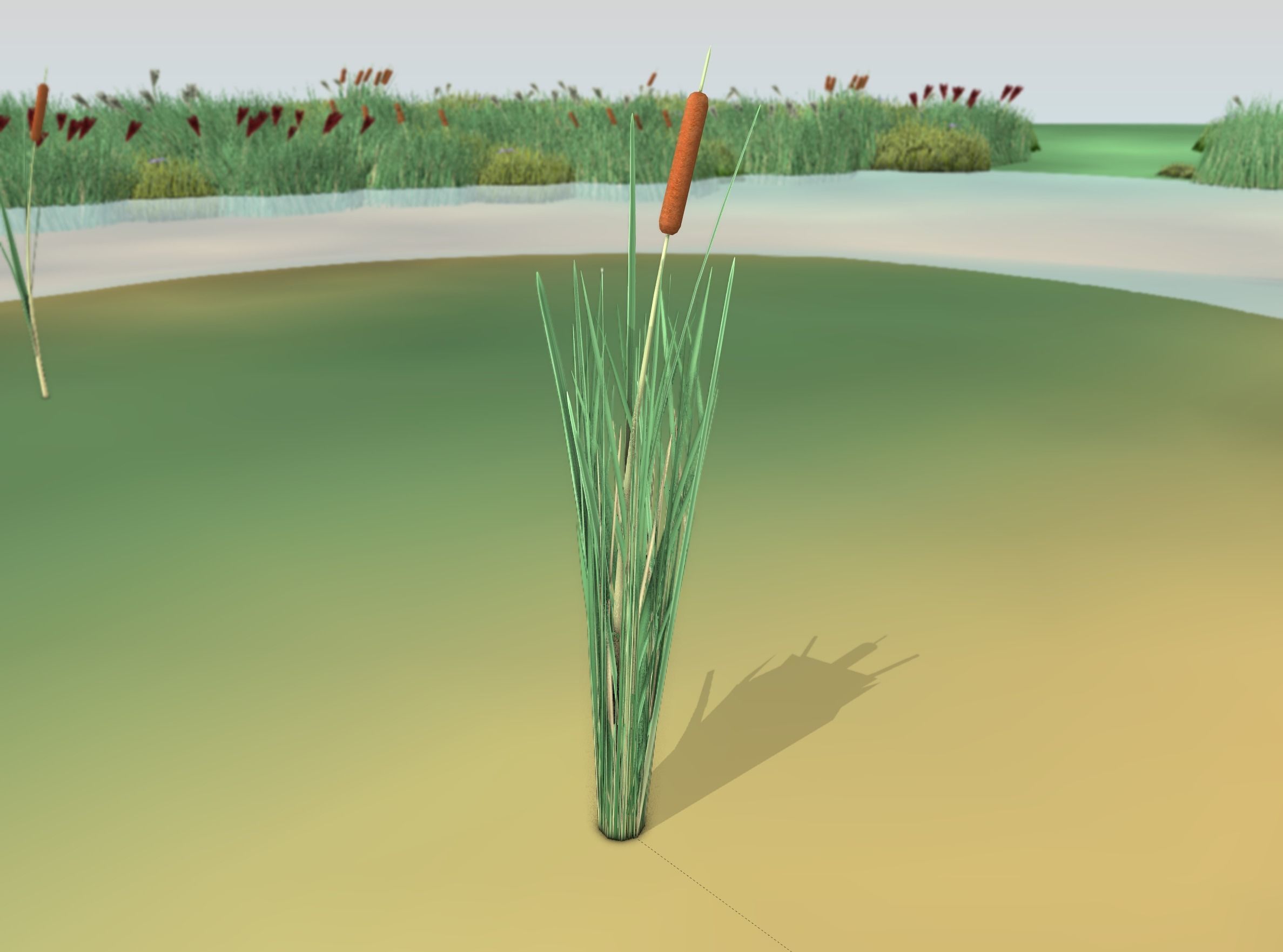 Reeds - Object 7 Low-poly 3D model_2