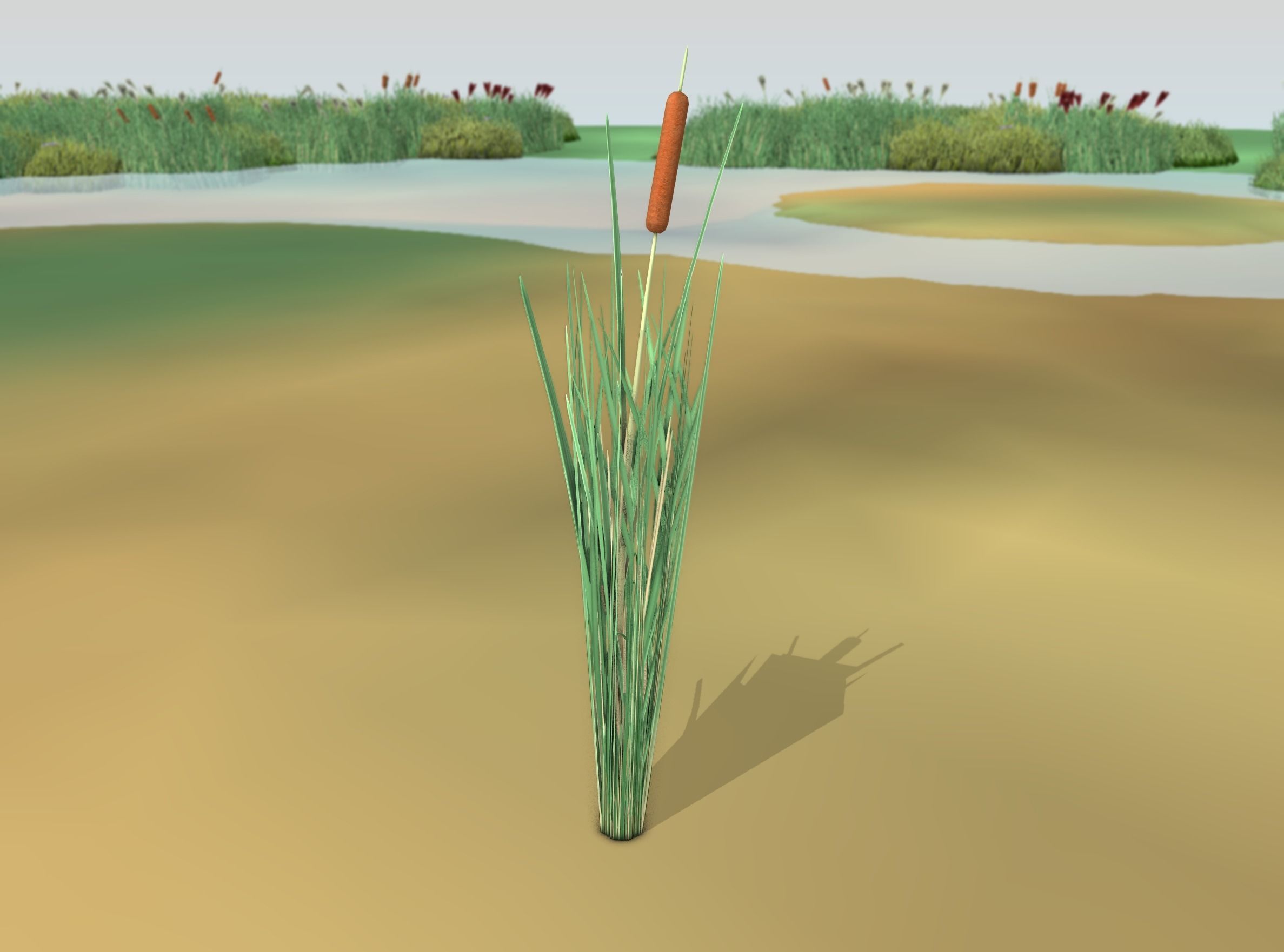 Reeds - Object 7 Low-poly 3D model_48