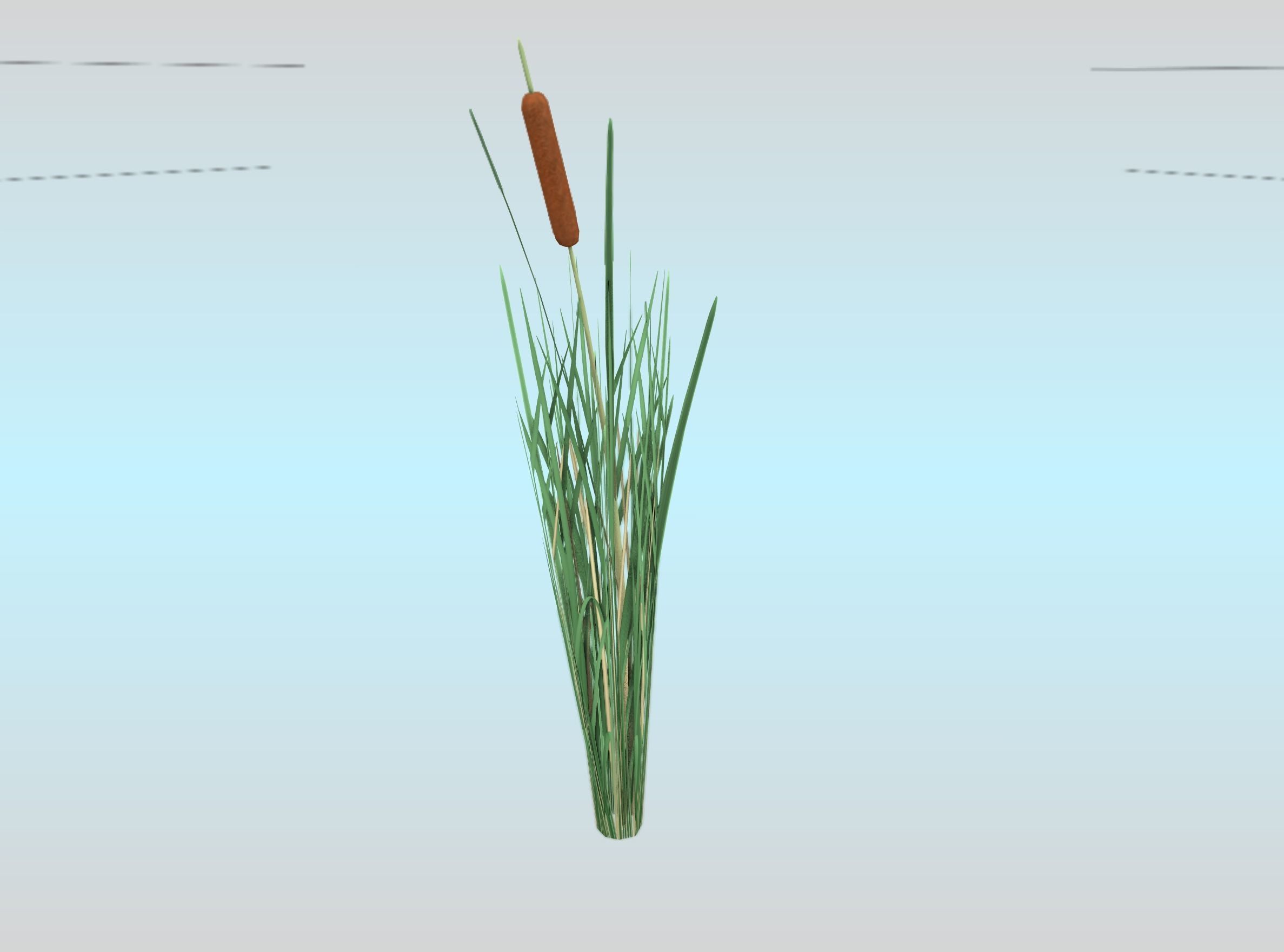 Reeds - Object 7 Low-poly 3D model_25