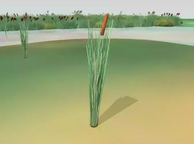 Reeds - Object 8
