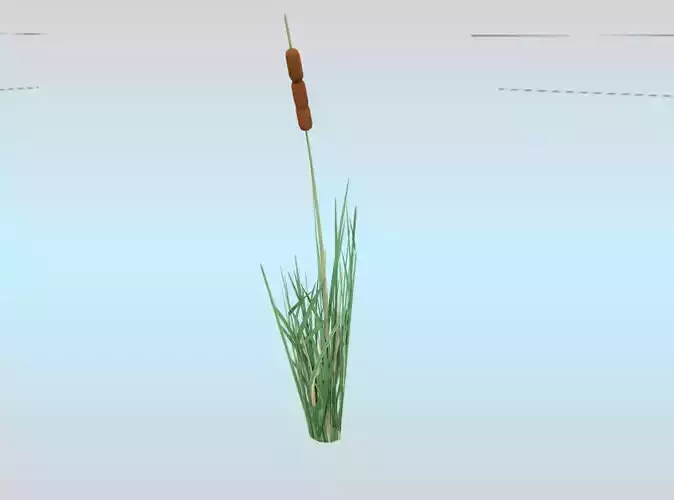 Reeds - Object 9