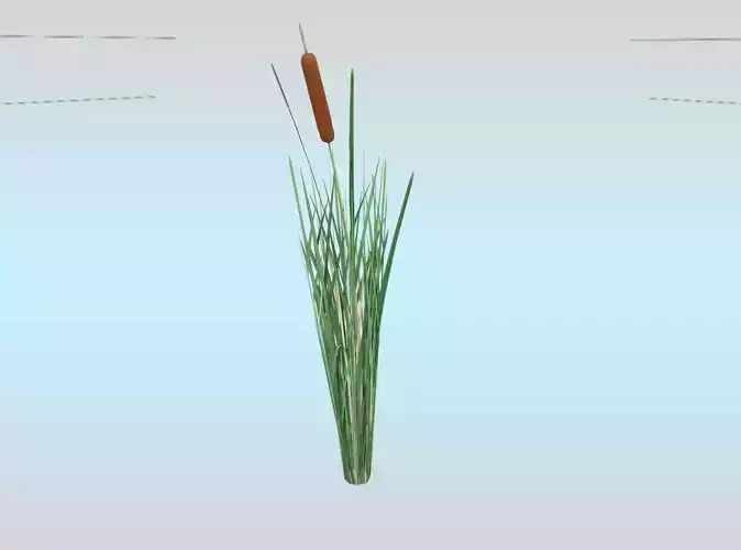 Reeds - Object 11 Low-poly 3D model
