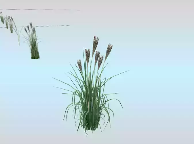 Reeds - Object 13 Low-poly 3D model