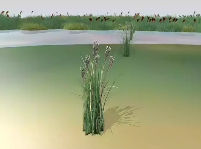 Reeds - Object 14 Low-poly 3D model