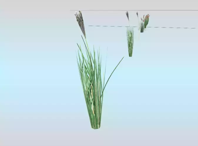 Reeds - Object 19 Low-poly 3D model