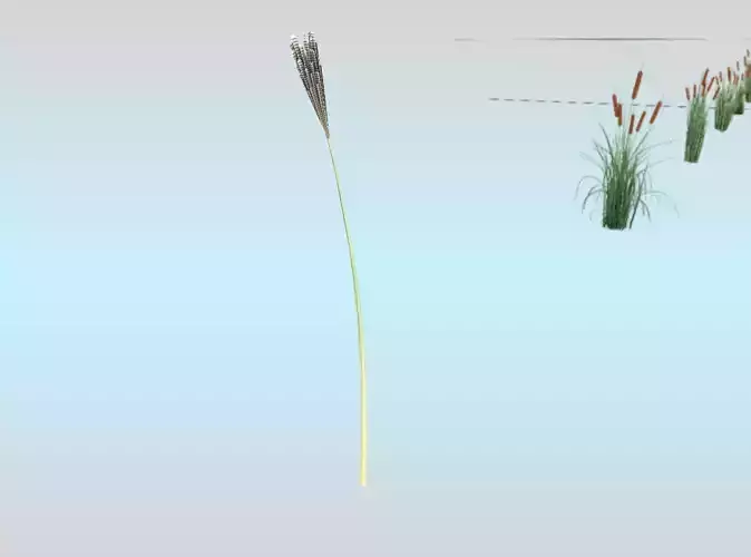 Reeds - Object 21 Low-poly 3D model