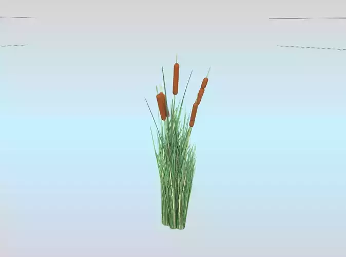 Reeds - Object 23