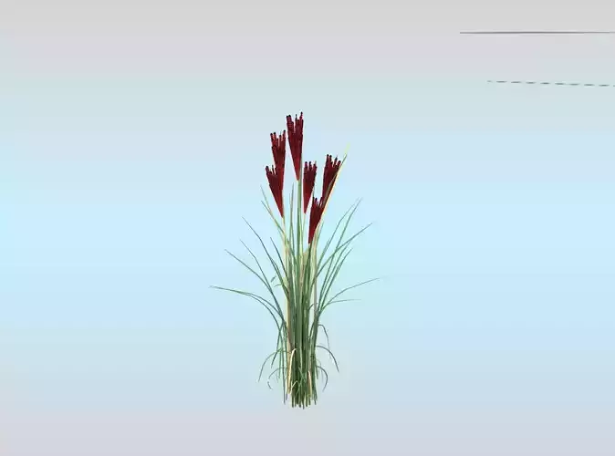 Reeds - Object 33