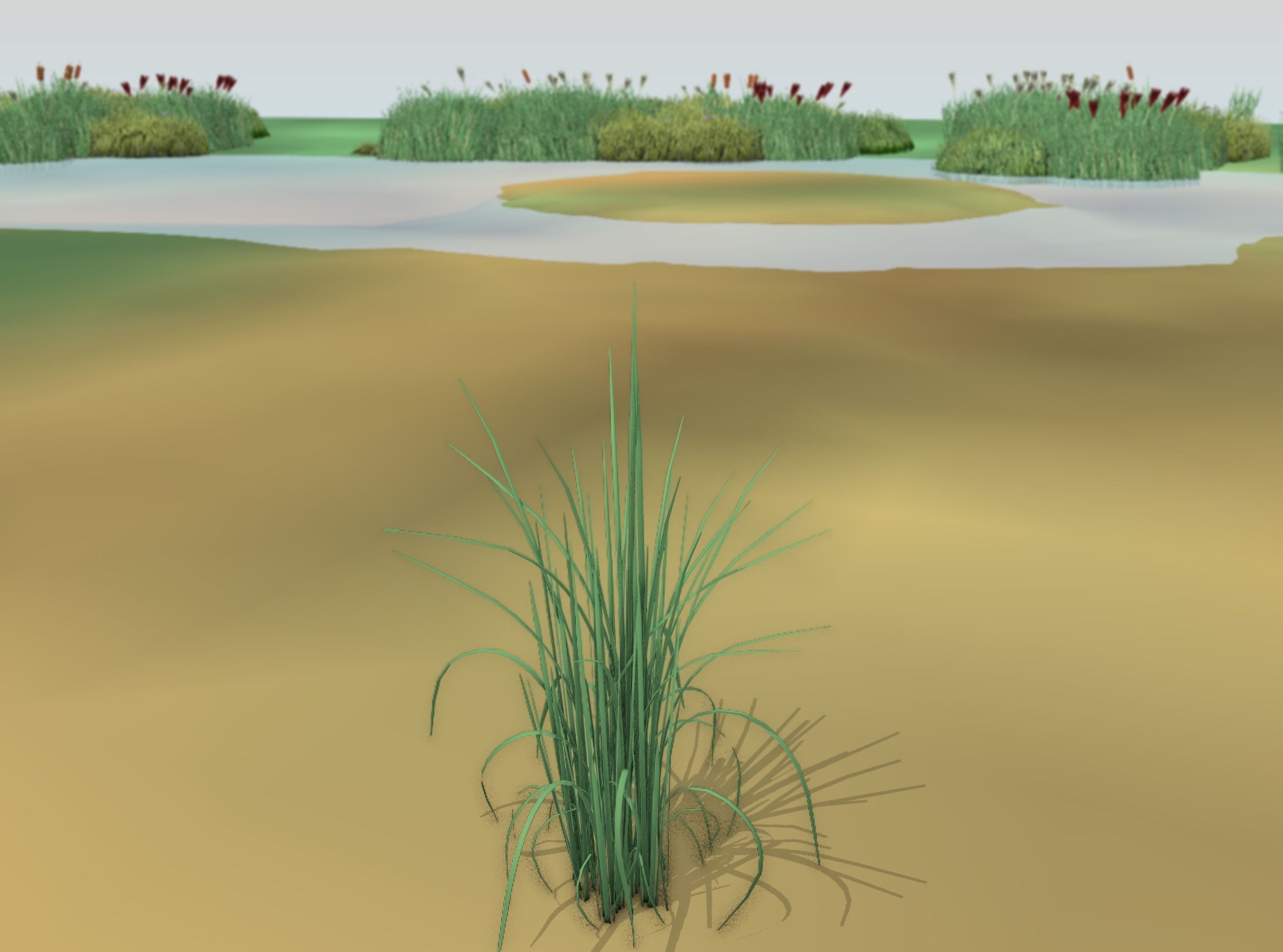 Reeds - Object 38 Low-poly 3D model_15